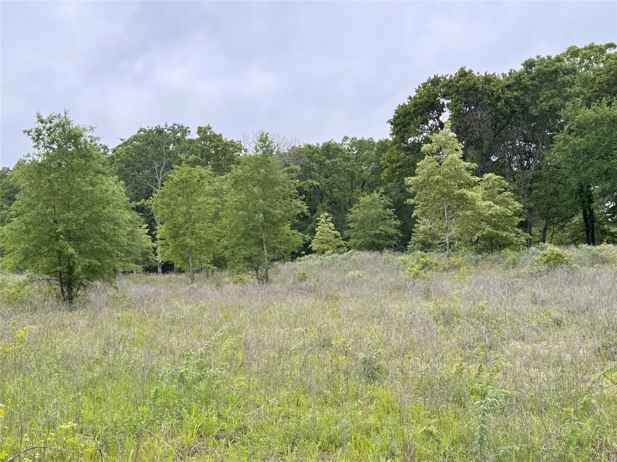 Unimproved Land For Sale in Rains County , LOT 25 Rains County Road 2610, Alba, Texas 75410, 0, 0, Garage spaces, 0 Sqft, built in 0, Price $135,000, mls#21284082, Real Estate Agent in Alba, Homes For Sale in Rains county, Homes For Sale in Alba, Realtor in Alba Texas, Real Estate Brokerage Independent Realty Texas, Luminita Cordes Realtor