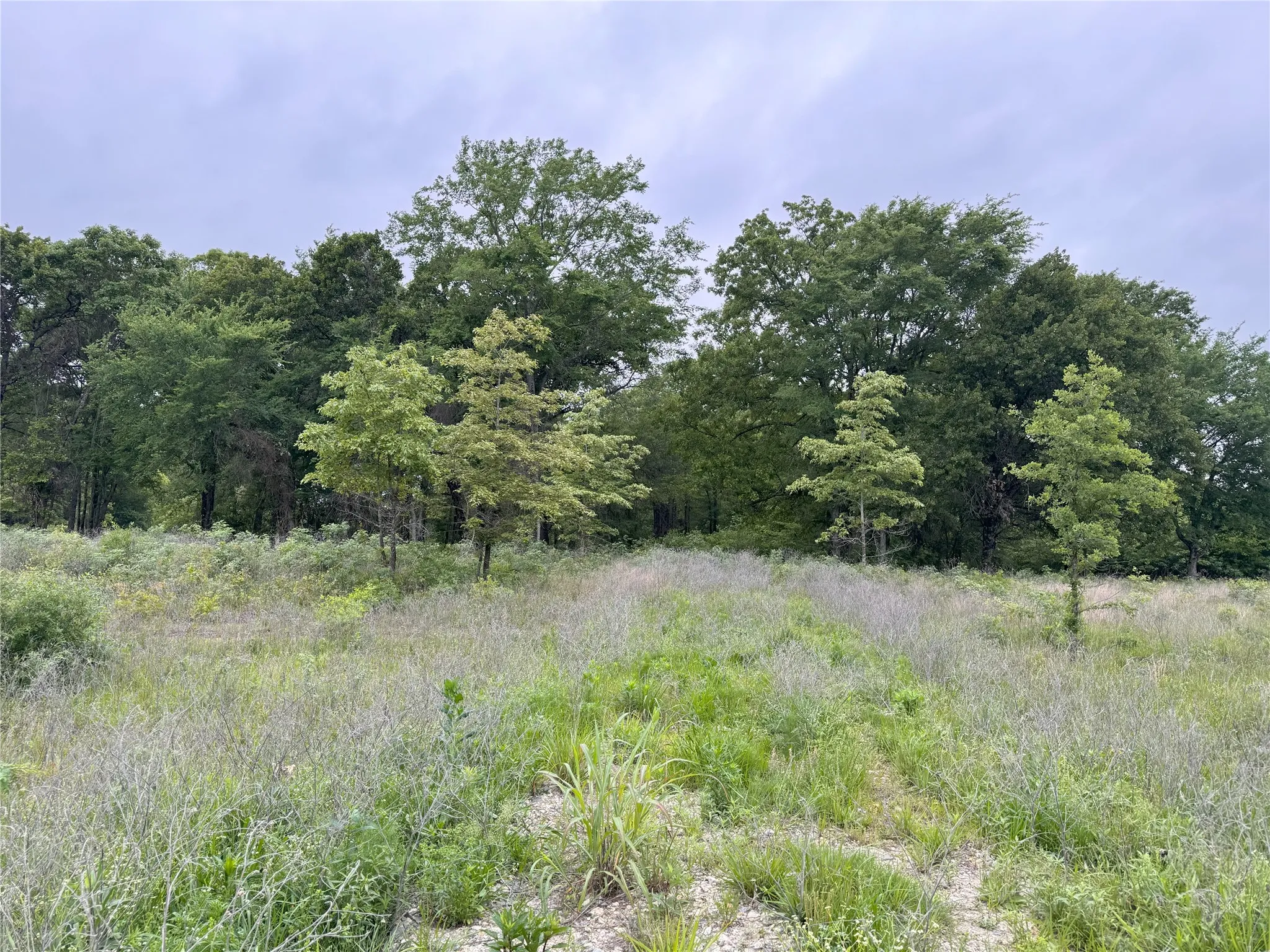 Unimproved Land For Sale in Rains County , LOT 25 Rains County Road 2610, Alba, Texas 75410, 0, 0, Garage spaces, 0 Sqft, built in 0, Price $135,000, mls#21284082, Real Estate Agent in Alba, Homes For Sale in Rains county, Homes For Sale in Alba, Realtor in Alba Texas, Real Estate Brokerage Independent Realty Texas, Luminita Cordes Realtor