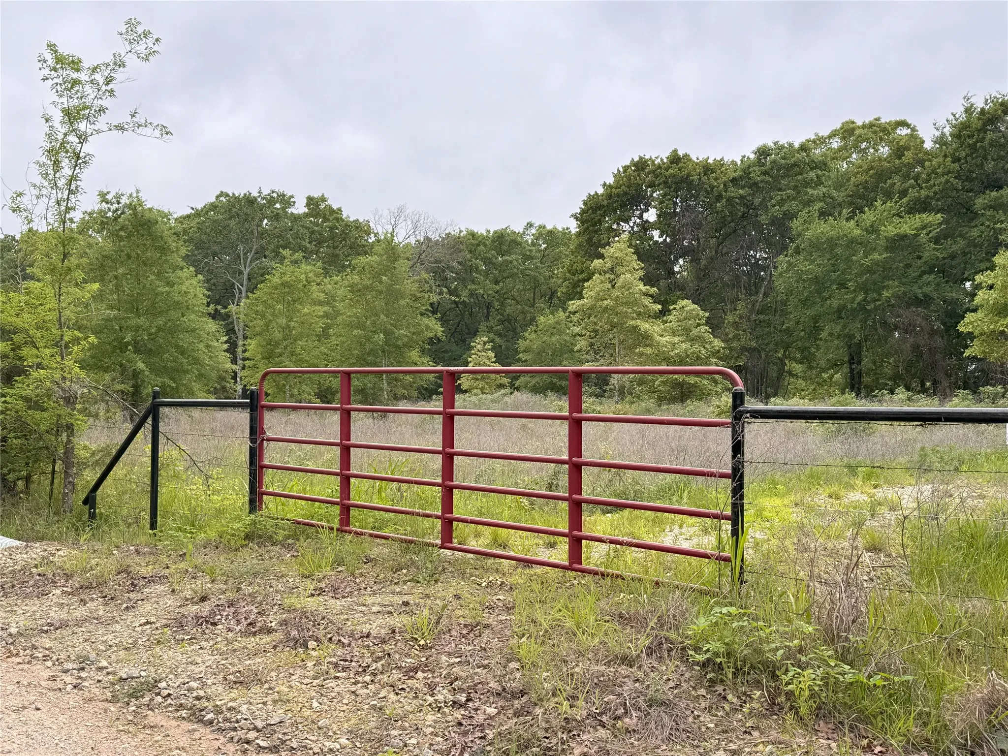 Unimproved Land For Sale in Rains County , LOT 25 Rains County Road 2610, Alba, Texas 75410, 0, 0, Garage spaces, 0 Sqft, built in 0, Price $135,000, mls#21284082, Real Estate Agent in Alba, Homes For Sale in Rains county, Homes For Sale in Alba, Realtor in Alba Texas, Real Estate Brokerage Independent Realty Texas, Luminita Cordes Realtor