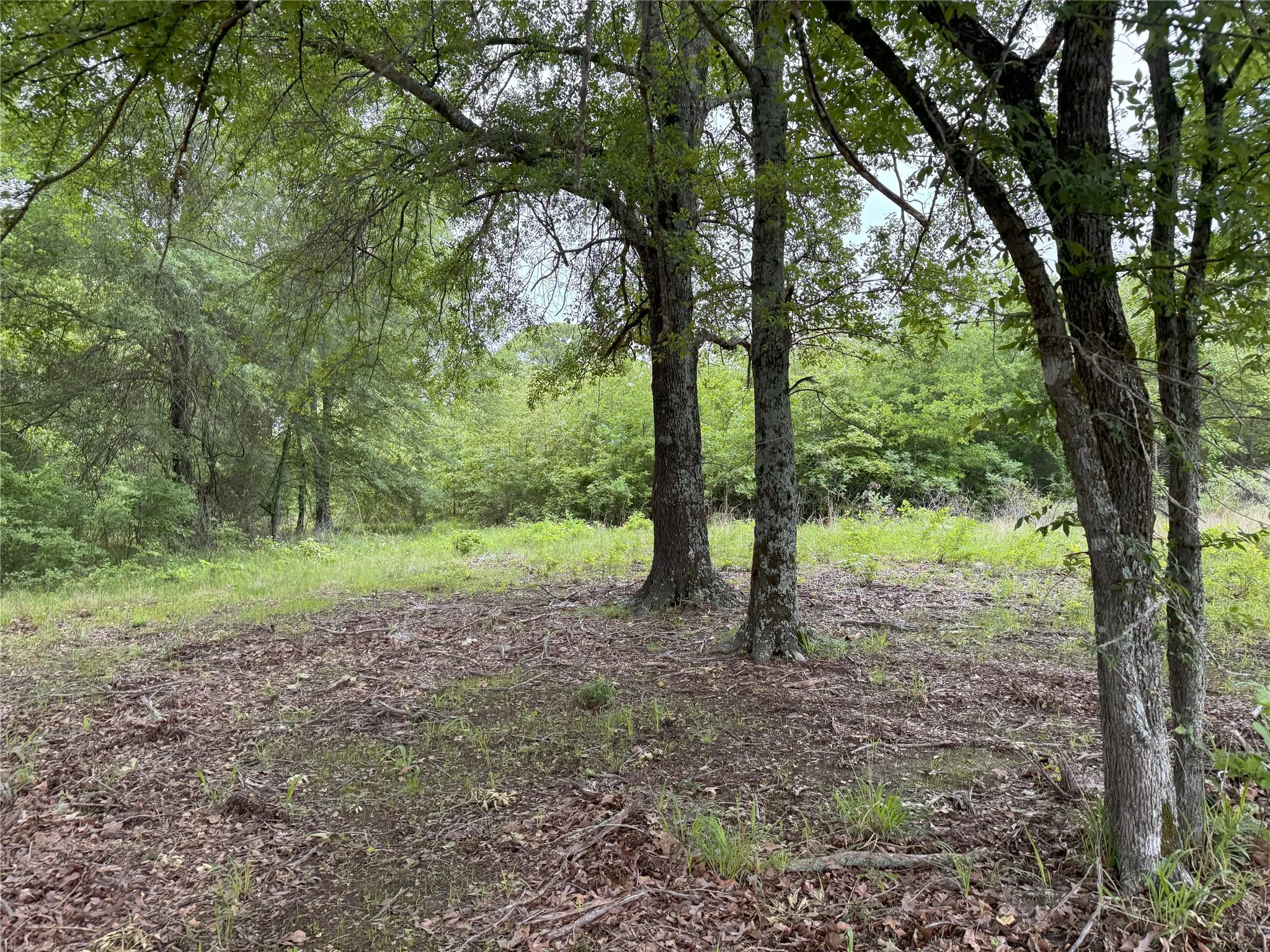 Unimproved Land For Sale in Rains County , LOT 25 Rains County Road 2610, Alba, Texas 75410, 0, 0, Garage spaces, 0 Sqft, built in 0, Price $135,000, mls#21284082, Real Estate Agent in Alba, Homes For Sale in Rains county, Homes For Sale in Alba, Realtor in Alba Texas, Real Estate Brokerage Independent Realty Texas, Luminita Cordes Realtor