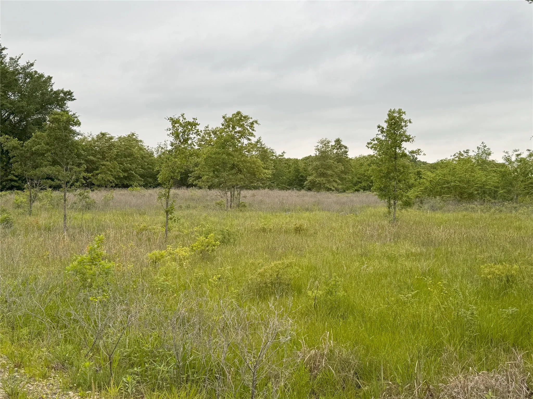 Unimproved Land For Sale in Rains County , LOT 25 Rains County Road 2610, Alba, Texas 75410, 0, 0, Garage spaces, 0 Sqft, built in 0, Price $135,000, mls#21284082, Real Estate Agent in Alba, Homes For Sale in Rains county, Homes For Sale in Alba, Realtor in Alba Texas, Real Estate Brokerage Independent Realty Texas, Luminita Cordes Realtor
