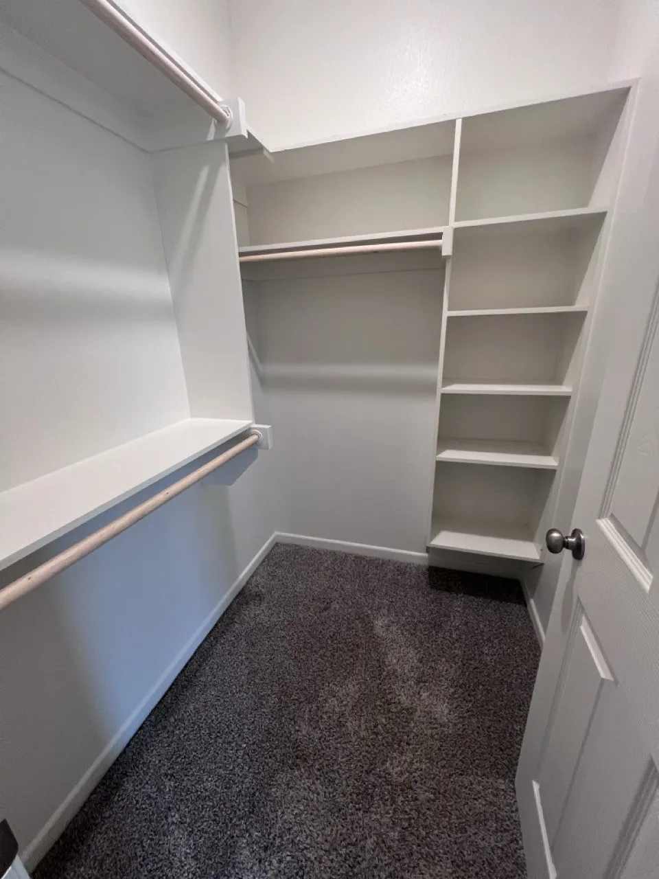 Walk-in closet featuring white built-in shelving, hanging rods, and dark gray carpet flooring