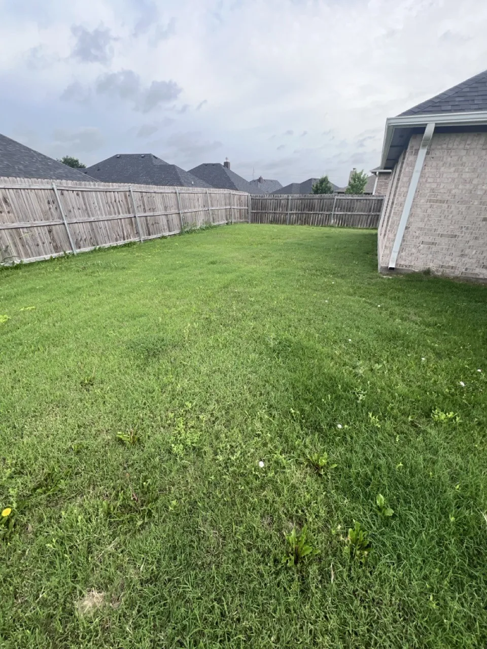 Expansive rear yard featuring green grass, a full perimeter wood privacy fence, and a brick exterior with white gutters