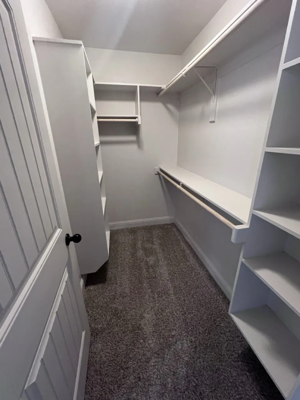 Walk-in closet featuring built-in shelving, hanging rods, and grey carpet flooring