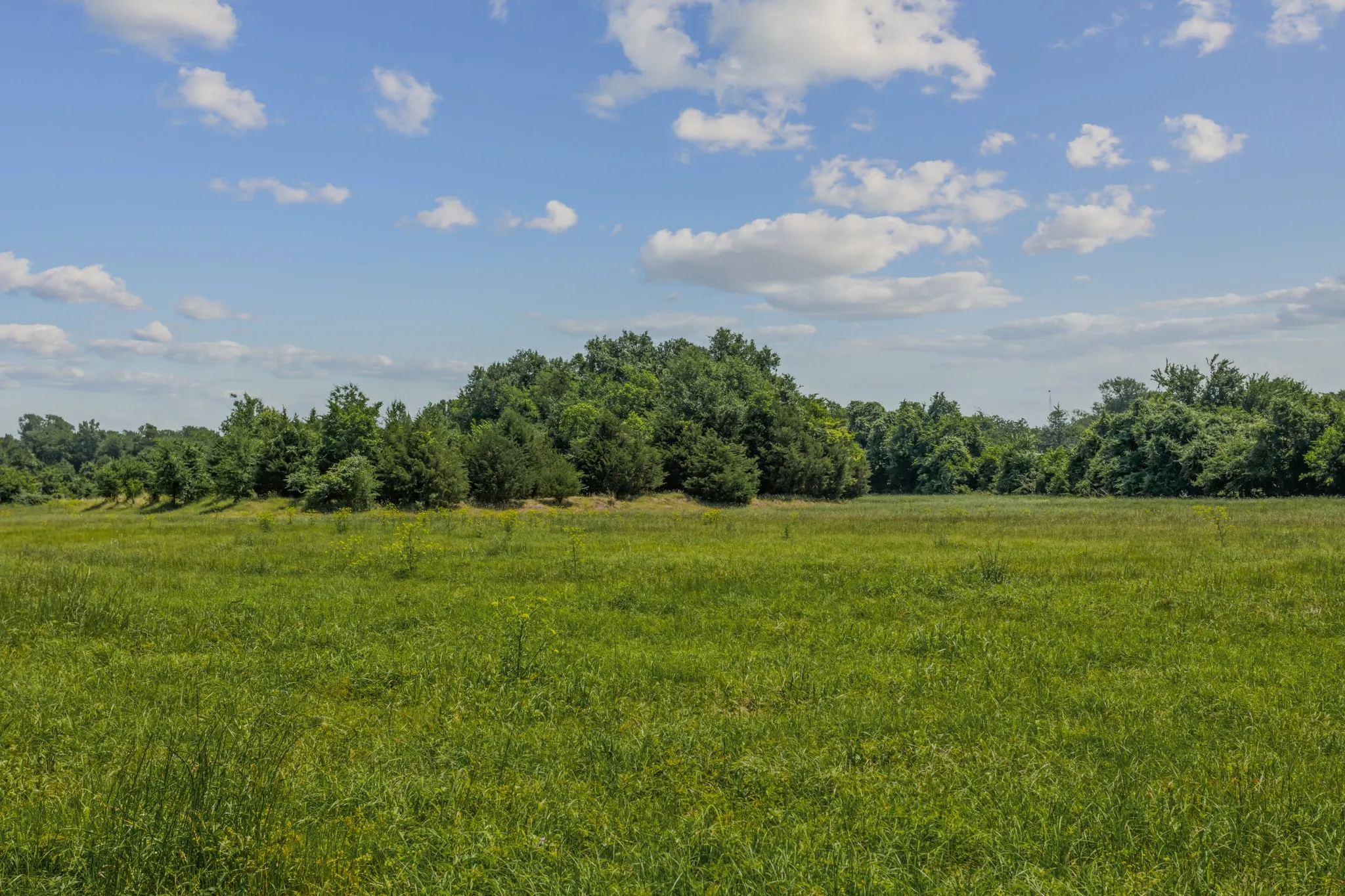 Farm For Sale in Kaufman County , 10398 Fm 429, Kaufman, Texas 75142, 2 Bedroom, 1 Bathroom, Garage spaces, 1,400 Sqft, built in 1980, mls#21278250, Real Estate Agent in Kaufman, Homes For Sale in Kaufman county, Homes For Sale in Kaufman, Realtor in Kaufman Texas, Real Estate Brokerage Independent Realty Texas, Luminita Cordes Realtor