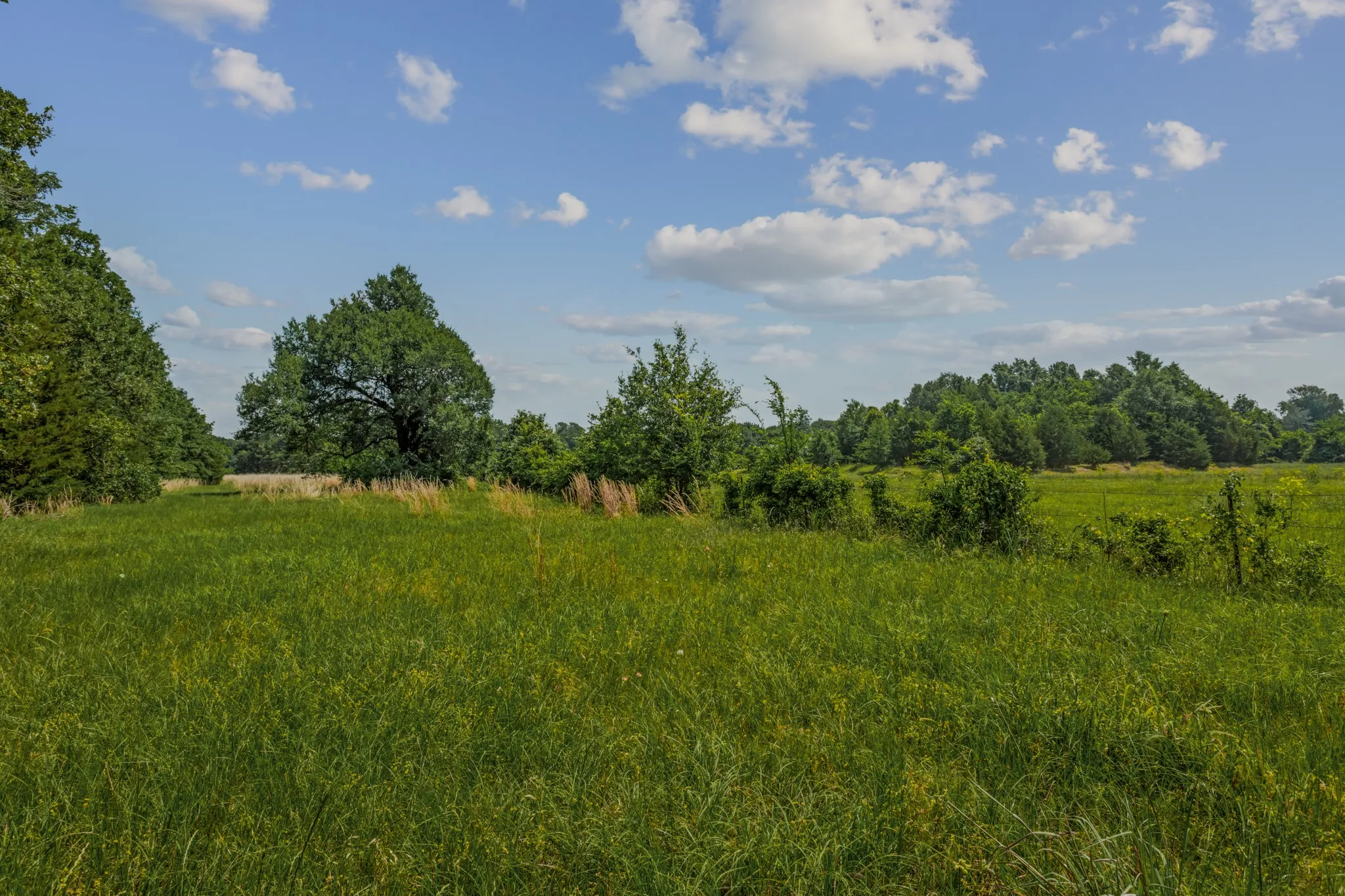 Farm For Sale in Kaufman County , 10398 Fm 429, Kaufman, Texas 75142, 2 Bedroom, 1 Bathroom, Garage spaces, 1,400 Sqft, built in 1980, mls#21278250, Real Estate Agent in Kaufman, Homes For Sale in Kaufman county, Homes For Sale in Kaufman, Realtor in Kaufman Texas, Real Estate Brokerage Independent Realty Texas, Luminita Cordes Realtor
