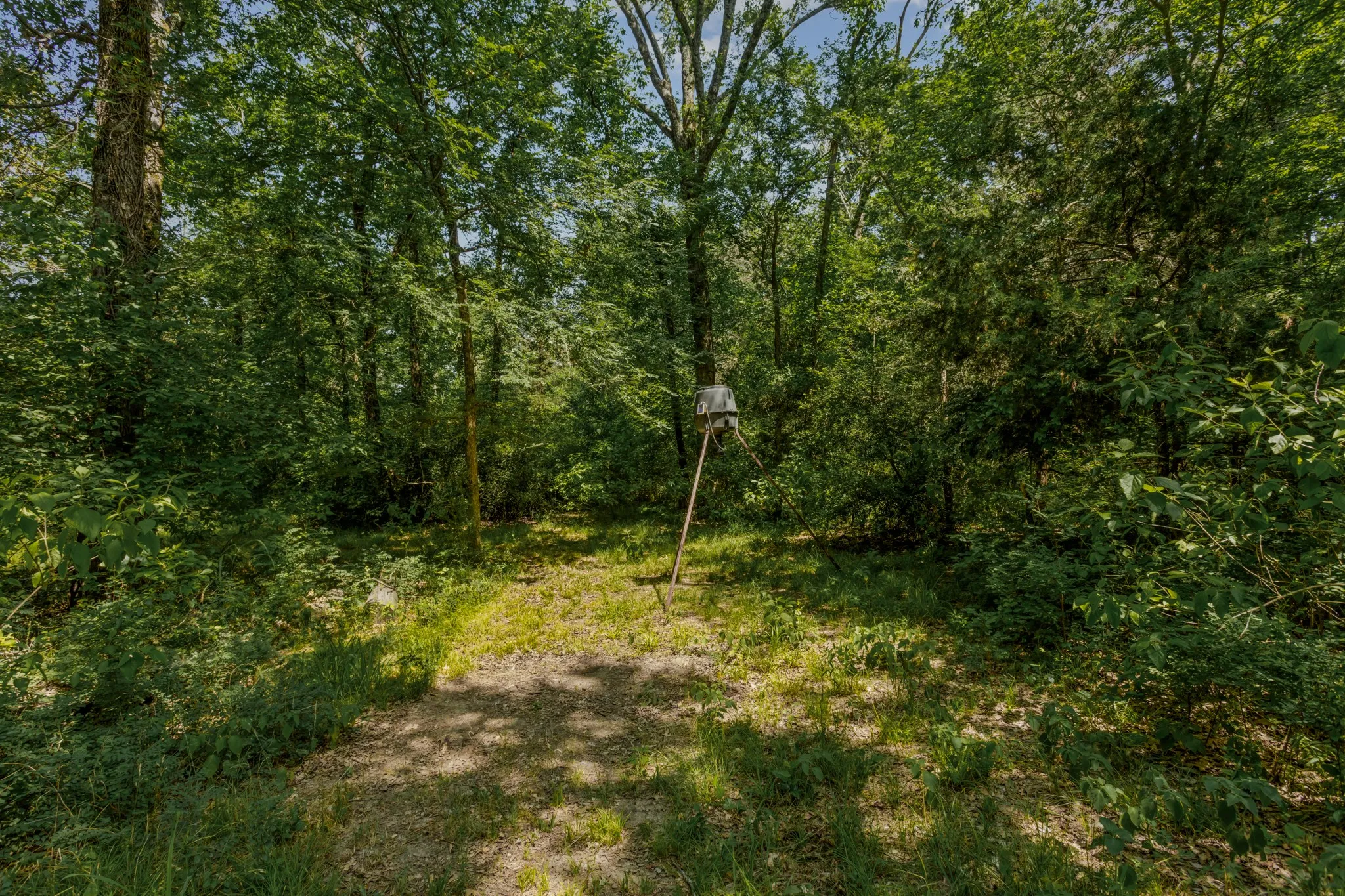 Farm For Sale in Kaufman County , 10398 Fm 429, Kaufman, Texas 75142, 2 Bedroom, 1 Bathroom, Garage spaces, 1,400 Sqft, built in 1980, mls#21278250, Real Estate Agent in Kaufman, Homes For Sale in Kaufman county, Homes For Sale in Kaufman, Realtor in Kaufman Texas, Real Estate Brokerage Independent Realty Texas, Luminita Cordes Realtor
