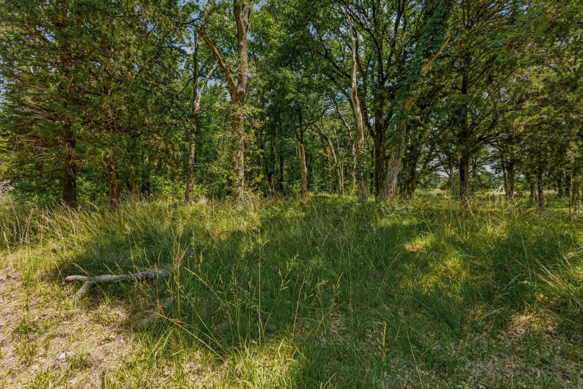 Farm For Sale in Kaufman County , 10398 Fm 429, Kaufman, Texas 75142, 2 Bedroom, 1 Bathroom, Garage spaces, 1,400 Sqft, built in 1980, mls#21278250, Real Estate Agent in Kaufman, Homes For Sale in Kaufman county, Homes For Sale in Kaufman, Realtor in Kaufman Texas, Real Estate Brokerage Independent Realty Texas, Luminita Cordes Realtor