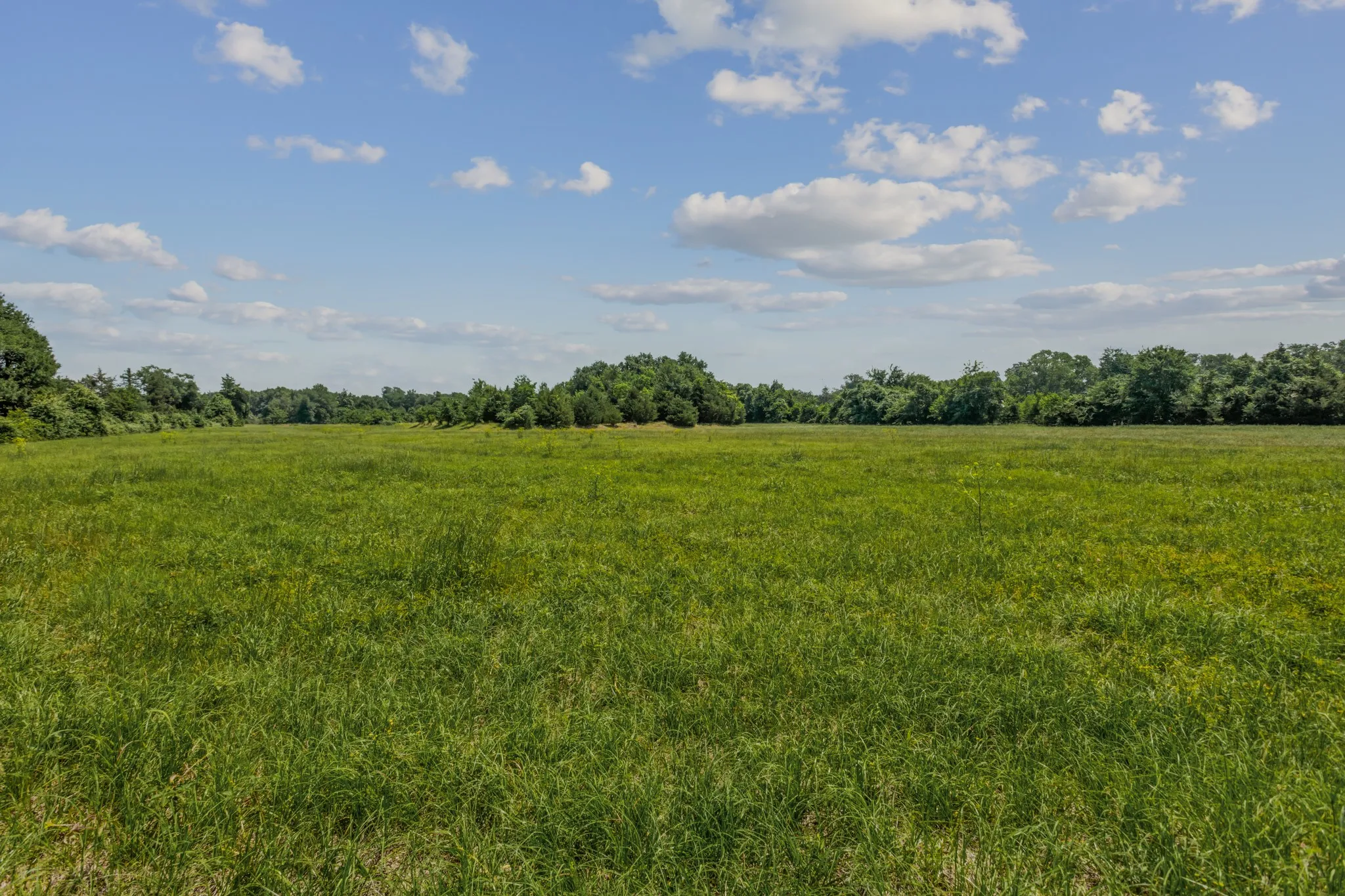 Unimproved Land For Sale in Kaufman County , 10398 Fm 429, Kaufman, Texas 75142, 0, 0, Garage spaces, 0 Sqft, built in 1980, mls#21278256, Real Estate Agent in Kaufman, Homes For Sale in Kaufman county, Homes For Sale in Kaufman, Realtor in Kaufman Texas, Real Estate Brokerage Independent Realty Texas, Luminita Cordes Realtor