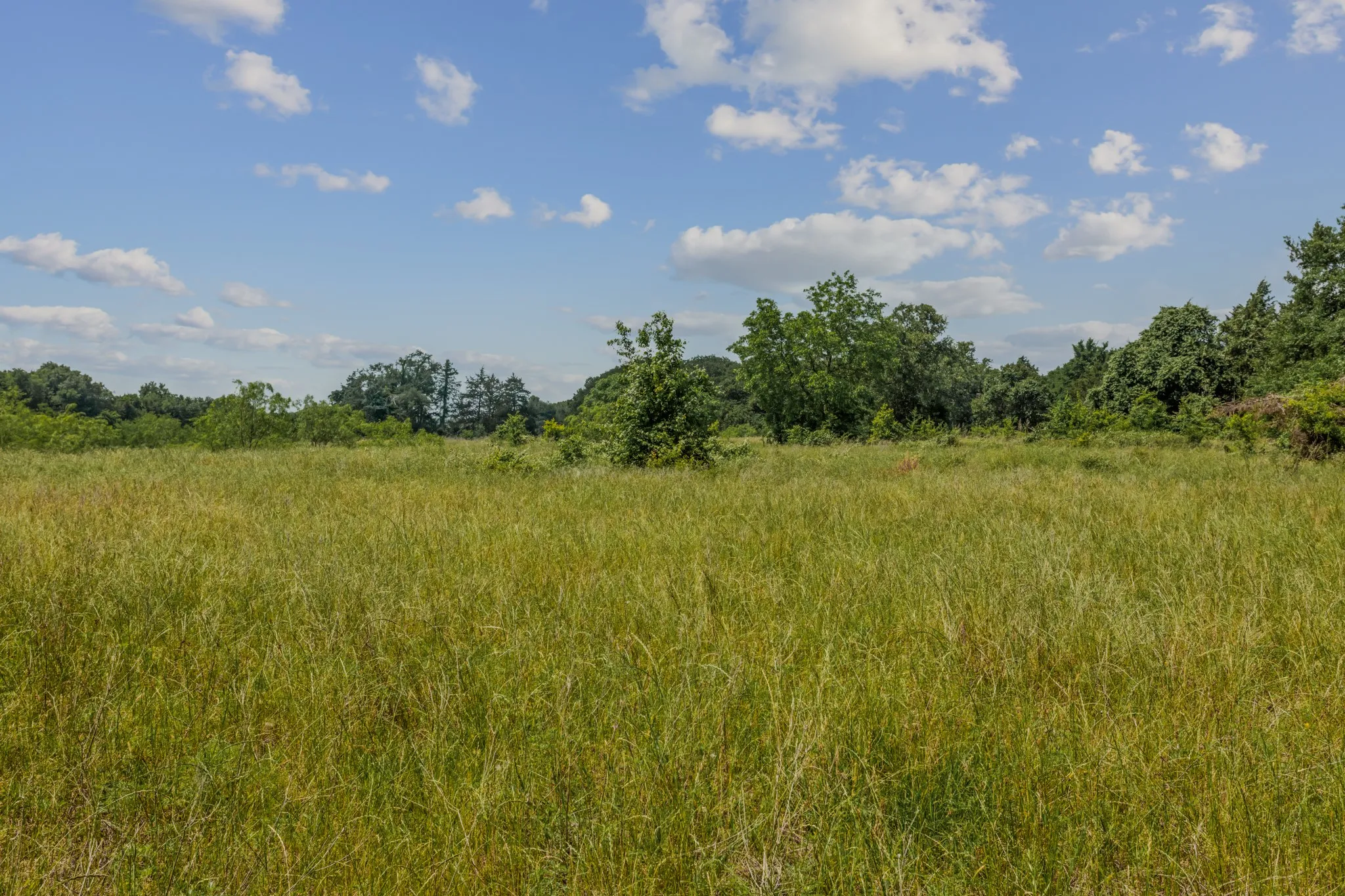 Unimproved Land For Sale in Kaufman County , 10398 Fm 429, Kaufman, Texas 75142, 0, 0, Garage spaces, 0 Sqft, built in 1980, mls#21278256, Real Estate Agent in Kaufman, Homes For Sale in Kaufman county, Homes For Sale in Kaufman, Realtor in Kaufman Texas, Real Estate Brokerage Independent Realty Texas, Luminita Cordes Realtor