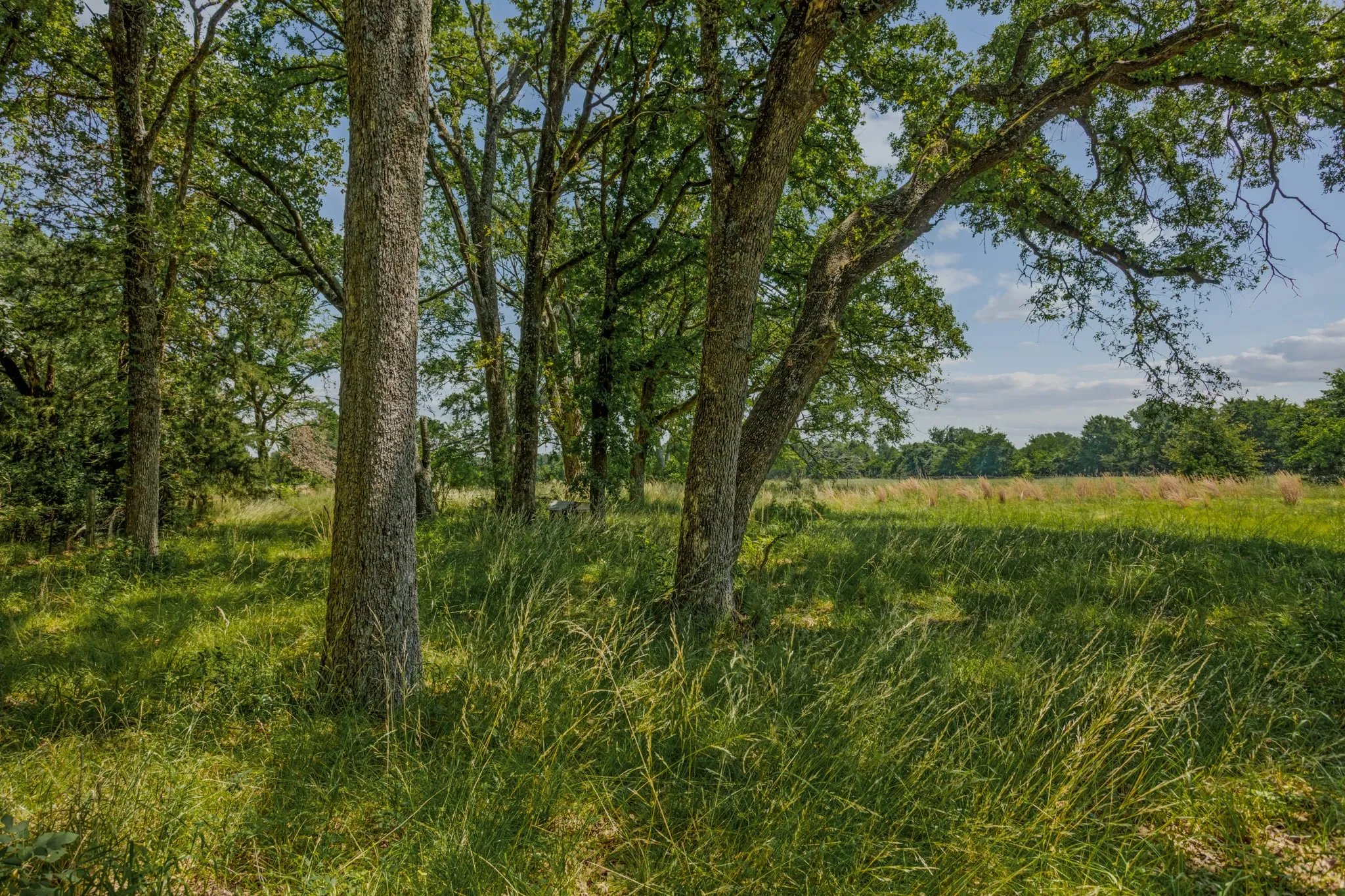 Unimproved Land For Sale in Kaufman County , 10398 Fm 429, Kaufman, Texas 75142, 0, 0, Garage spaces, 0 Sqft, built in 1980, mls#21278256, Real Estate Agent in Kaufman, Homes For Sale in Kaufman county, Homes For Sale in Kaufman, Realtor in Kaufman Texas, Real Estate Brokerage Independent Realty Texas, Luminita Cordes Realtor