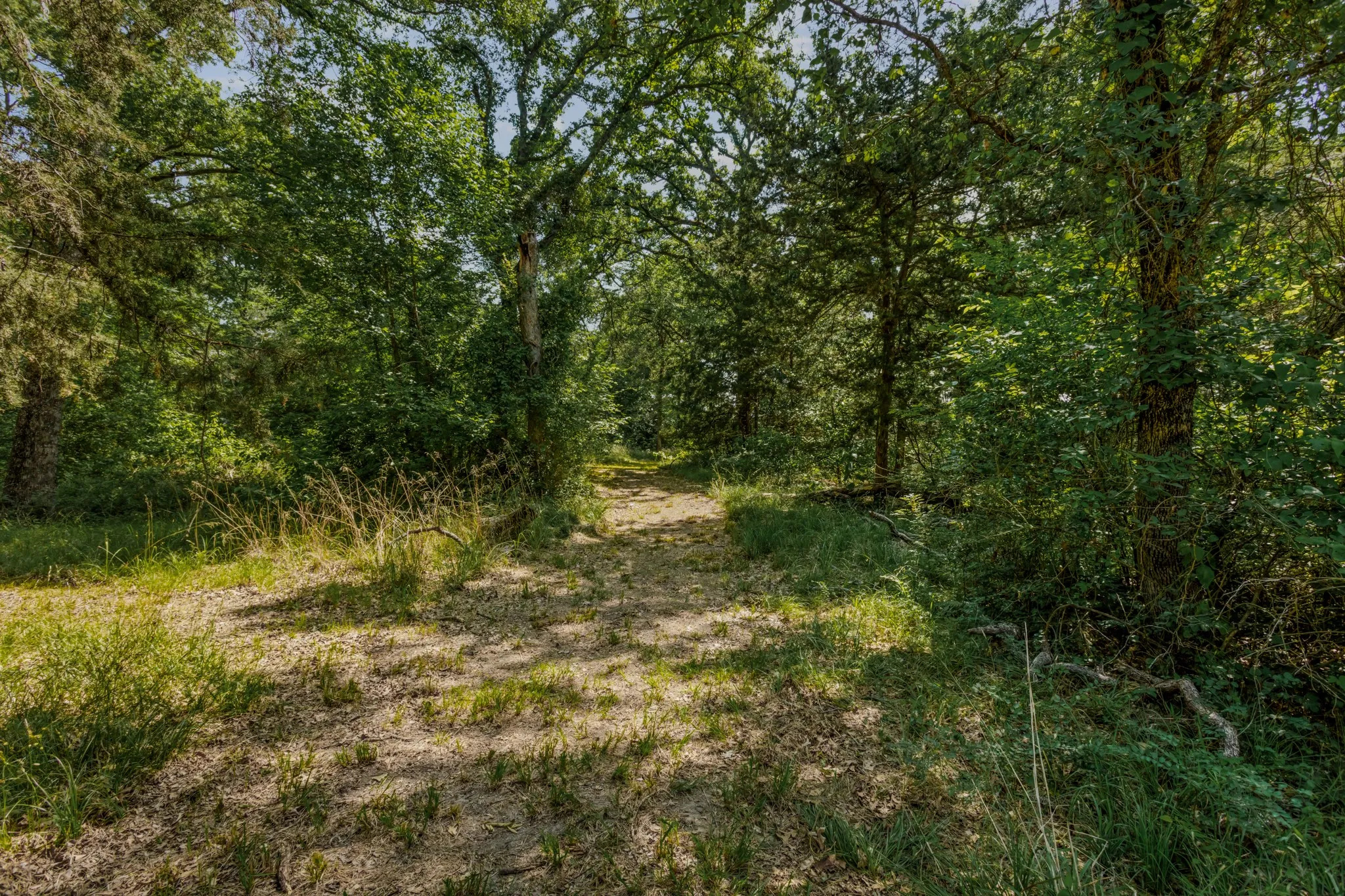 Unimproved Land For Sale in Kaufman County , 10398 Fm 429, Kaufman, Texas 75142, 0, 0, Garage spaces, 0 Sqft, built in 1980, mls#21278256, Real Estate Agent in Kaufman, Homes For Sale in Kaufman county, Homes For Sale in Kaufman, Realtor in Kaufman Texas, Real Estate Brokerage Independent Realty Texas, Luminita Cordes Realtor