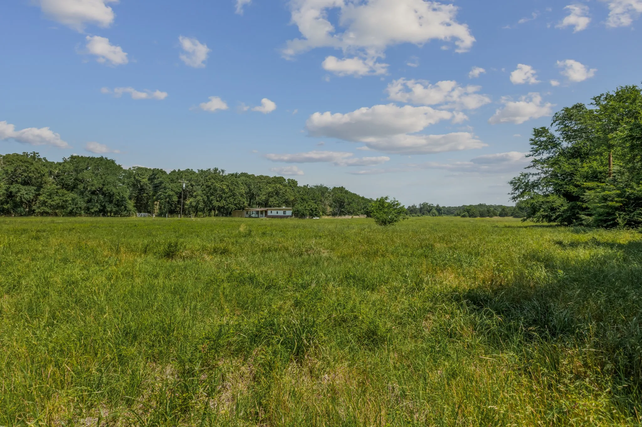 Unimproved Land For Sale in Kaufman County , 10398 Fm 429, Kaufman, Texas 75142, 0, 0, Garage spaces, 0 Sqft, built in 1980, mls#21278256, Real Estate Agent in Kaufman, Homes For Sale in Kaufman county, Homes For Sale in Kaufman, Realtor in Kaufman Texas, Real Estate Brokerage Independent Realty Texas, Luminita Cordes Realtor