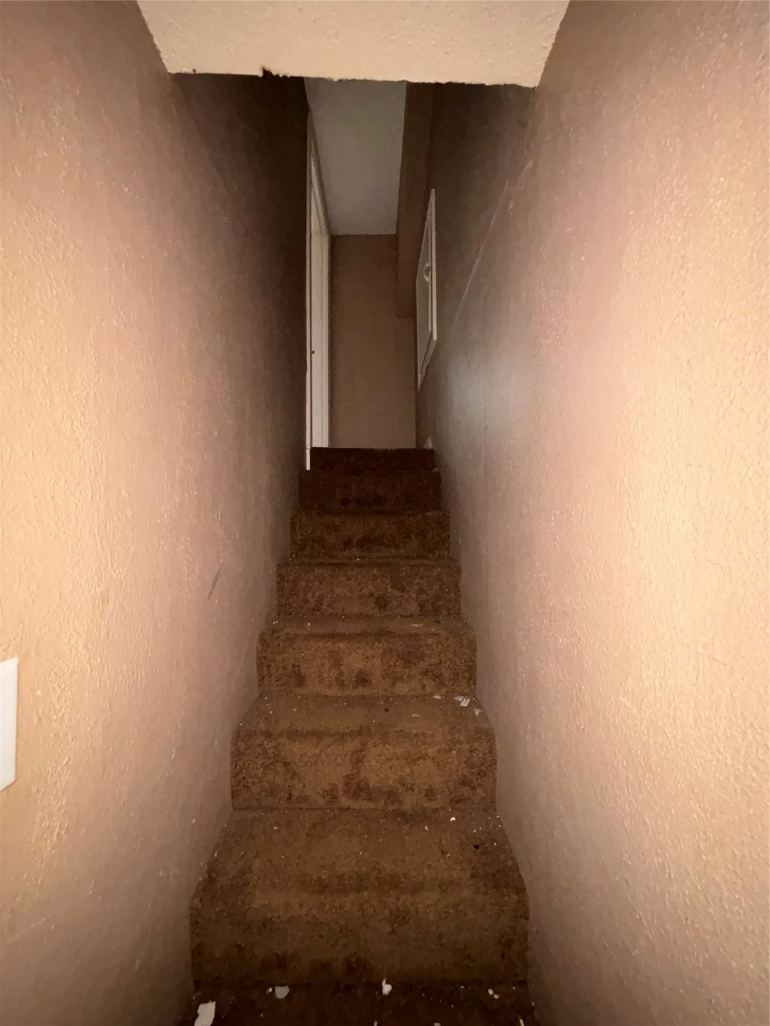 Carpeted staircase with textured walls, providing access to an upper level with a visible doorway and a framed wall hanging
