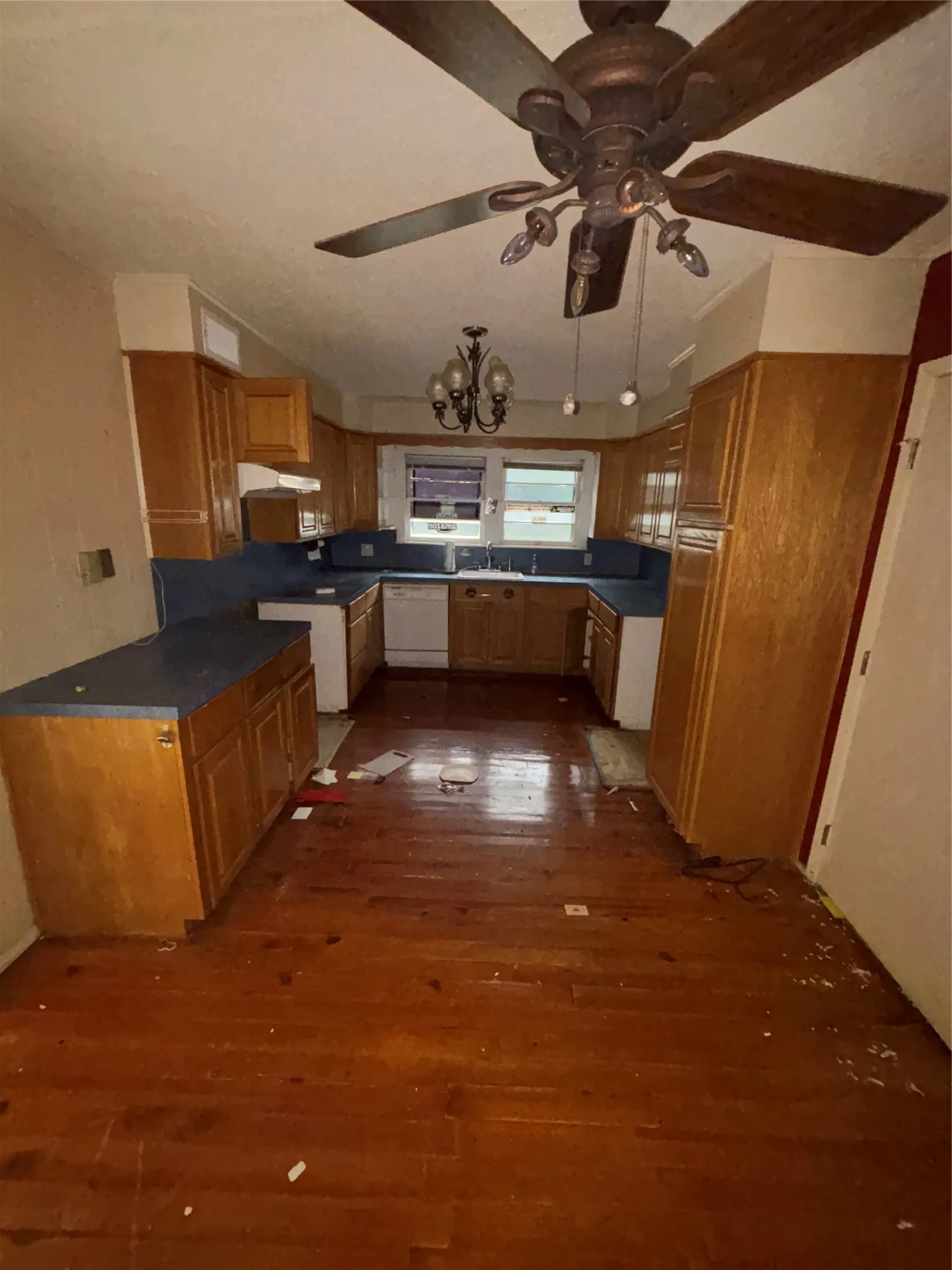 Kitchen featuring wood-finish flooring, U-shaped cabinetry with blue countertops, and dual windows