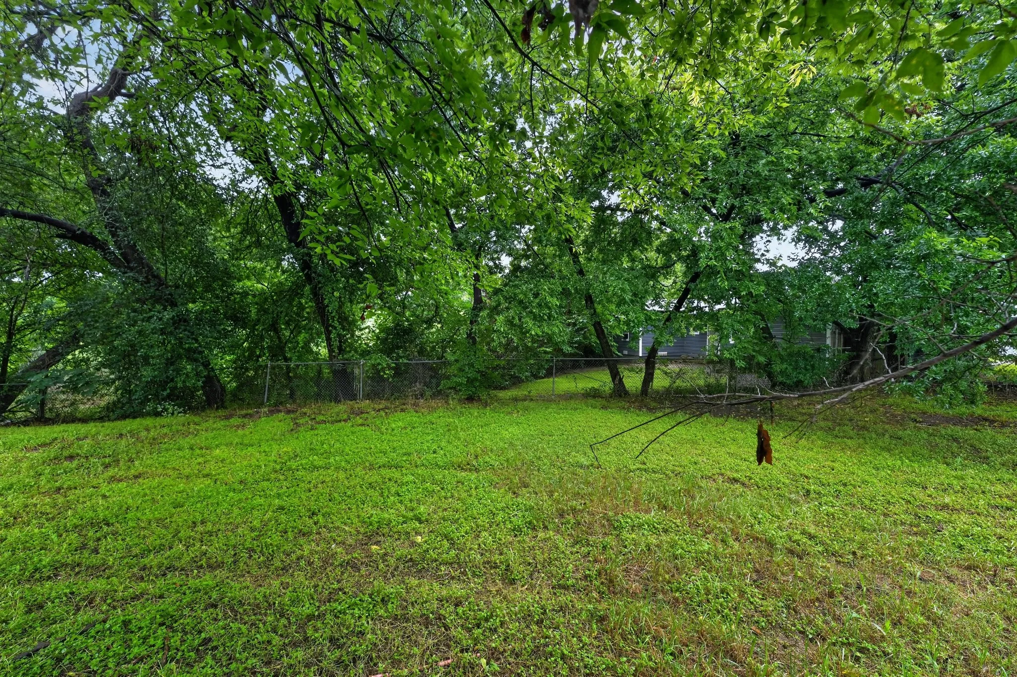 Expansive grassy yard area with mature trees and a chain-link fence
