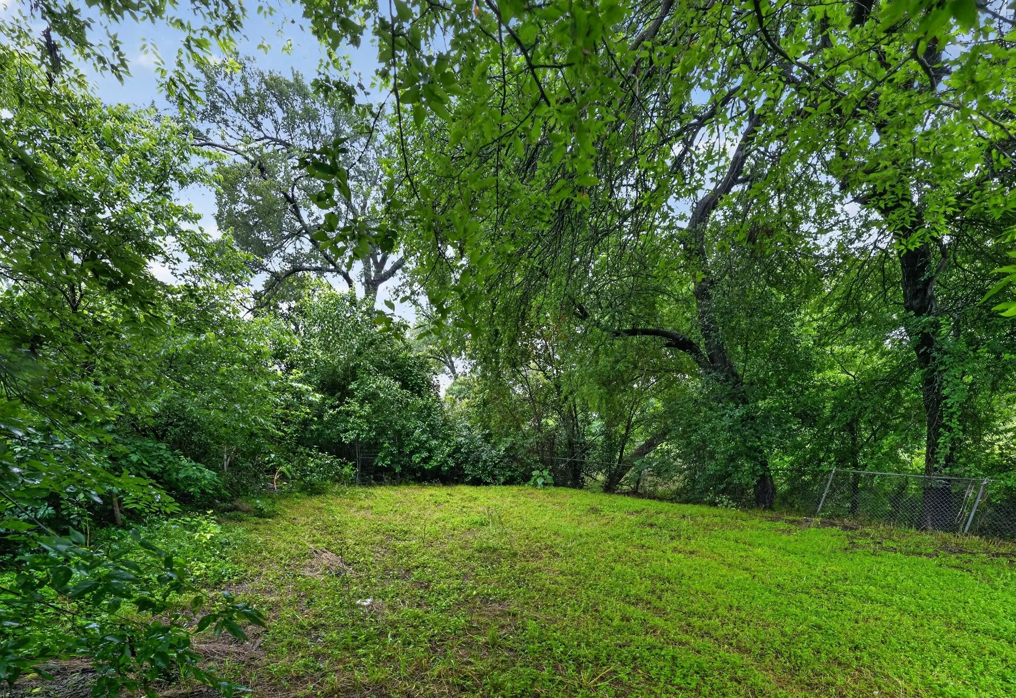 Expansive green space featuring mature trees and lush foliage