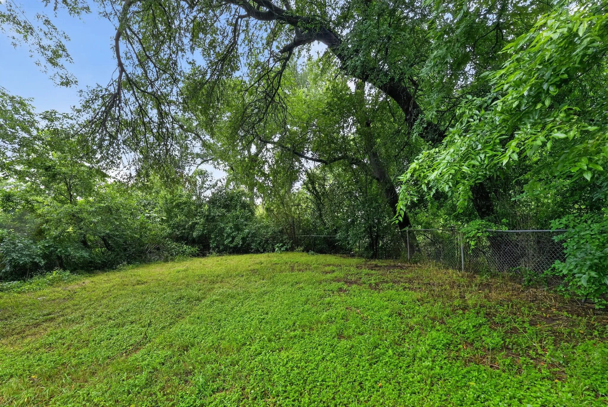Yard