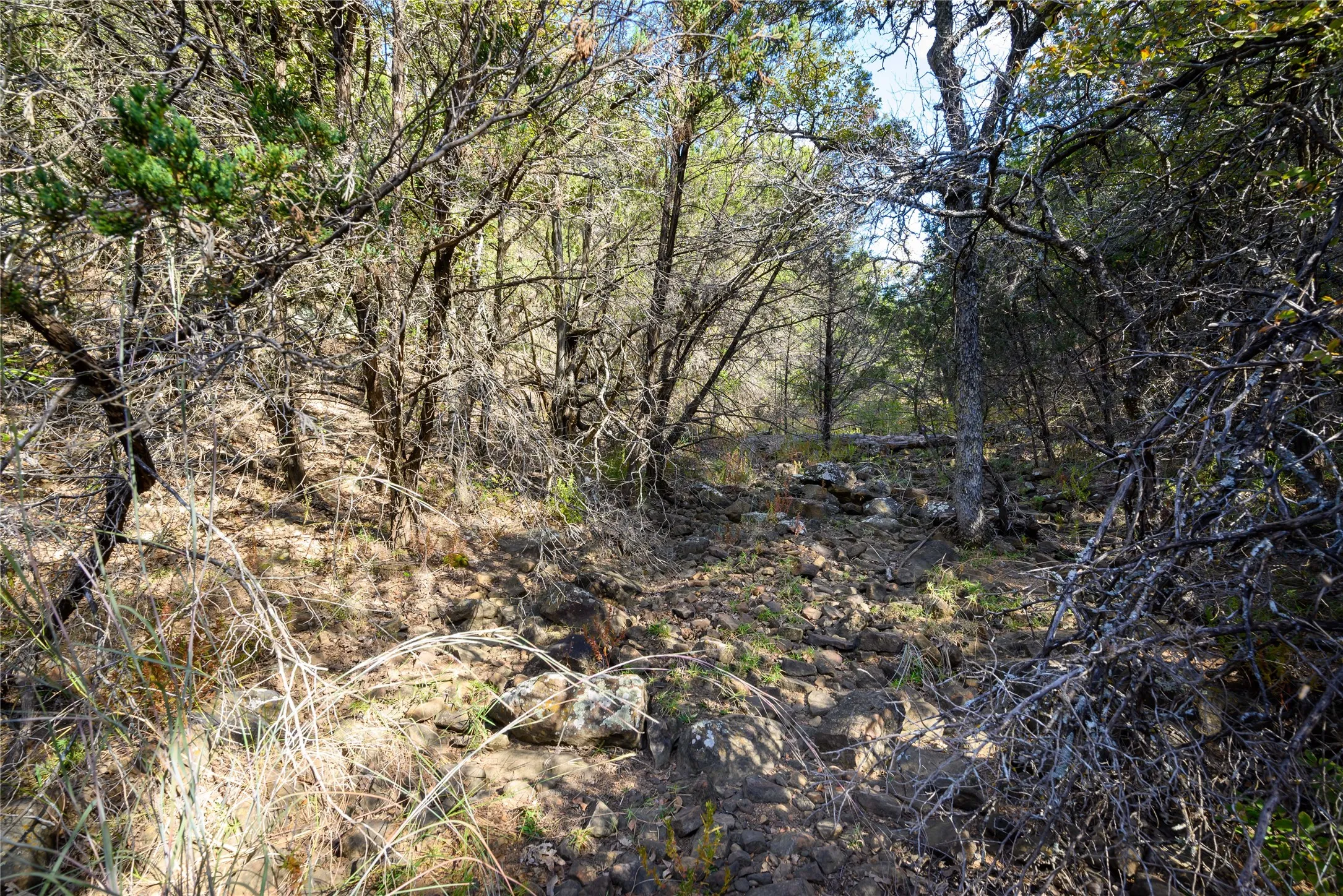 View of landscape