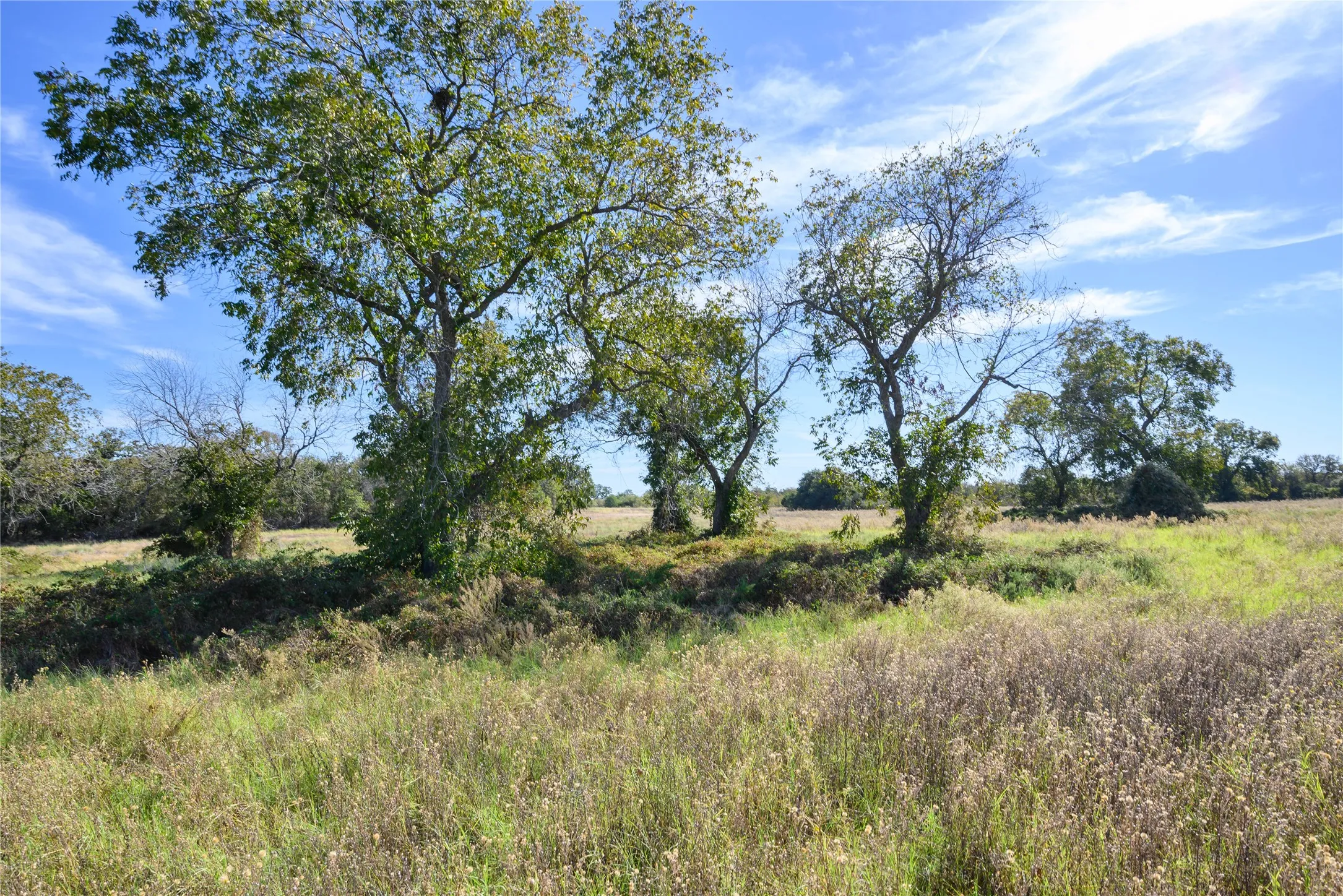 View of nature with a rural view