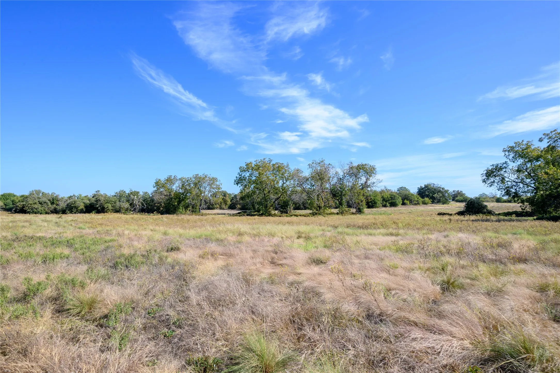 View of nature with a rural view