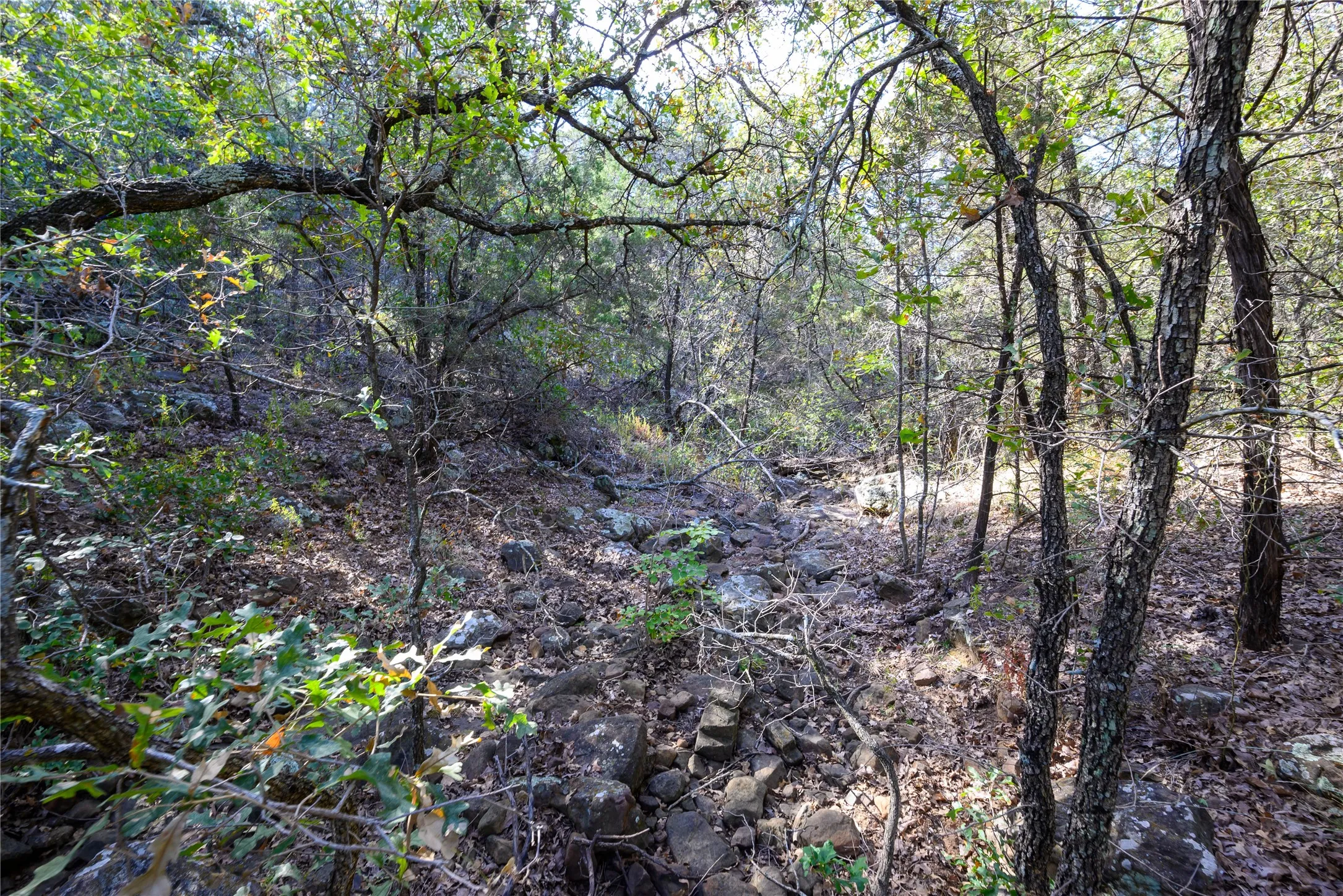 View of nature
