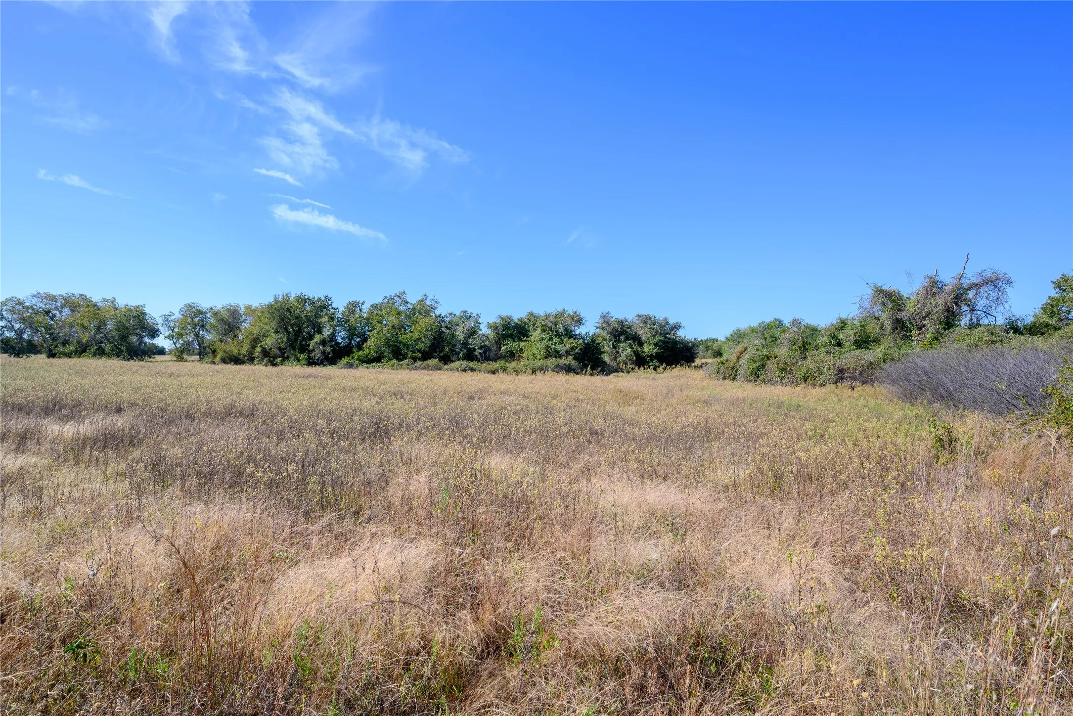 View of local wilderness featuring a rural view