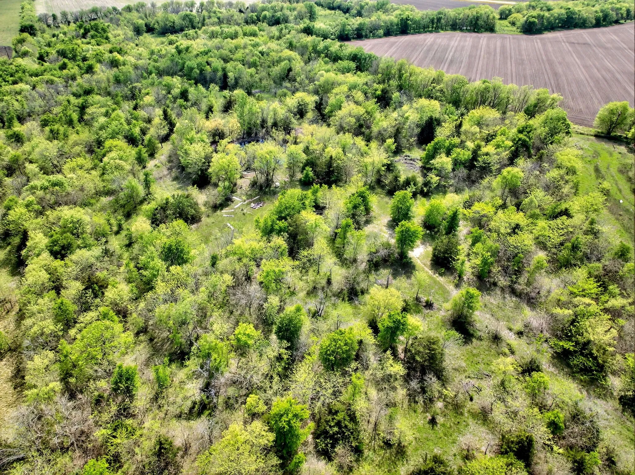 Unimproved Land For Sale in Hunt County , 20.45 ACRES FM-2068, Commerce, Texas 75428, 0, 0, Garage spaces, 0 Sqft, built in 0, mls#21284239, Real Estate Agent in Commerce, Homes For Sale in Hunt county, Homes For Sale in Commerce, Realtor in Commerce Texas, Real Estate Brokerage Independent Realty Texas, Luminita Cordes Realtor