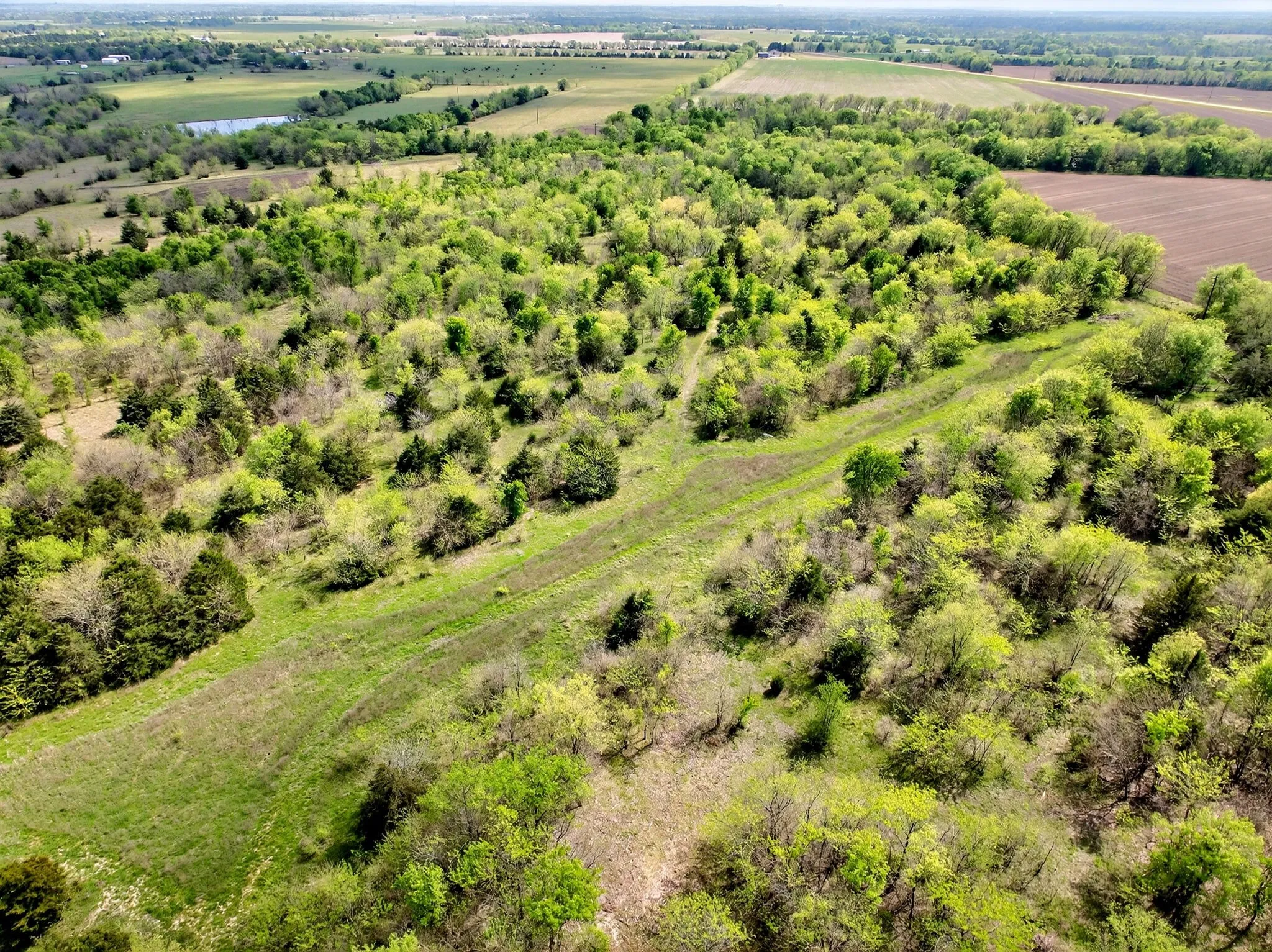 Unimproved Land For Sale in Hunt County , 20.45 ACRES FM-2068, Commerce, Texas 75428, 0, 0, Garage spaces, 0 Sqft, built in 0, mls#21284239, Real Estate Agent in Commerce, Homes For Sale in Hunt county, Homes For Sale in Commerce, Realtor in Commerce Texas, Real Estate Brokerage Independent Realty Texas, Luminita Cordes Realtor