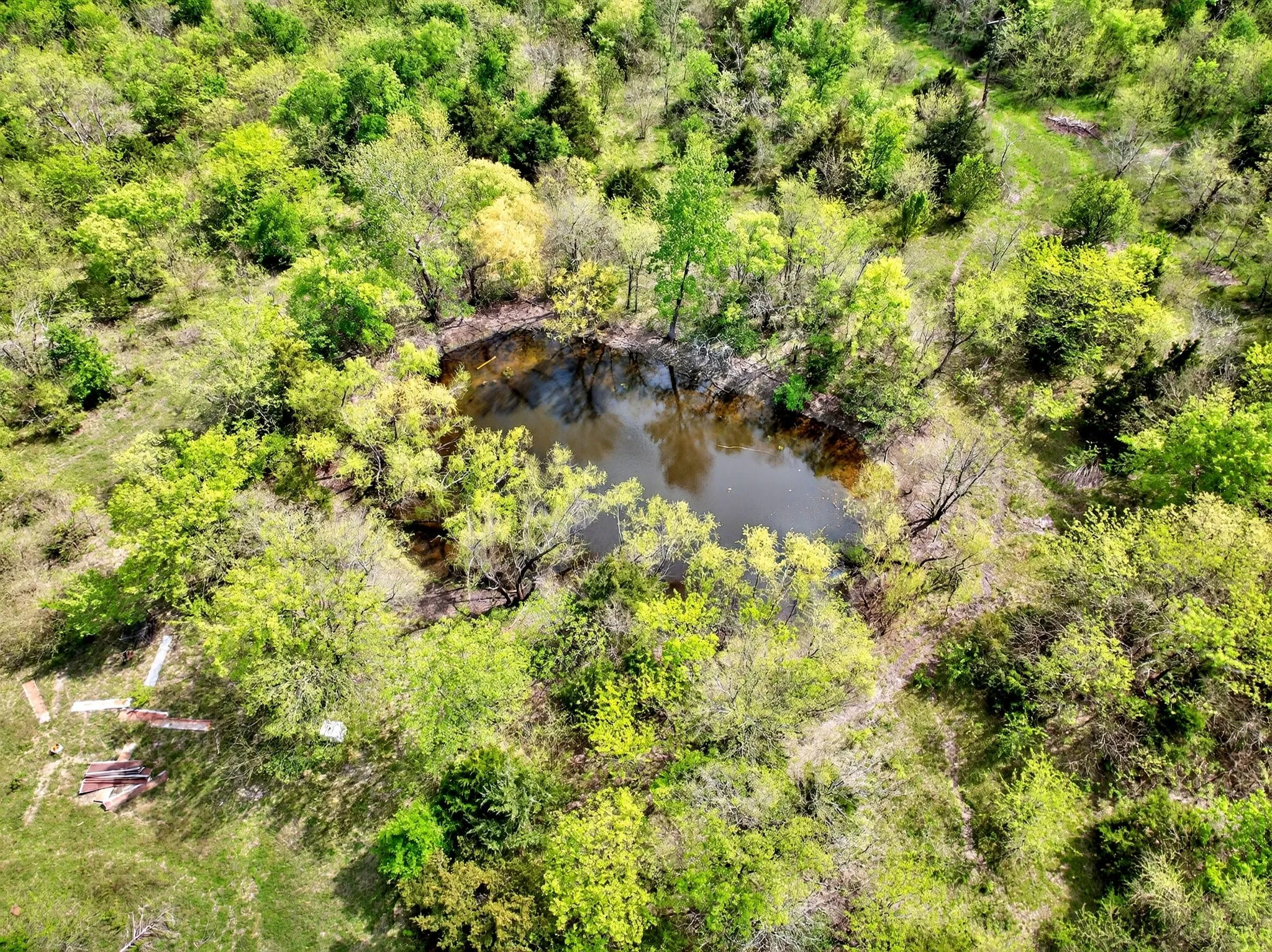 Pond