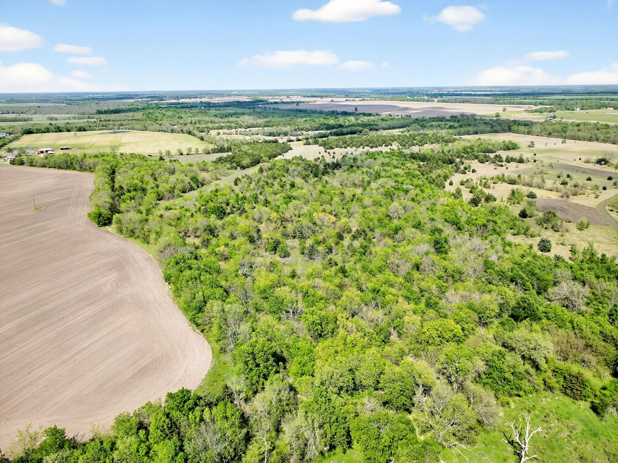 Unimproved Land For Sale in Hunt County , 20.45 ACRES FM-2068, Commerce, Texas 75428, 0, 0, Garage spaces, 0 Sqft, built in 0, mls#21284239, Real Estate Agent in Commerce, Homes For Sale in Hunt county, Homes For Sale in Commerce, Realtor in Commerce Texas, Real Estate Brokerage Independent Realty Texas, Luminita Cordes Realtor