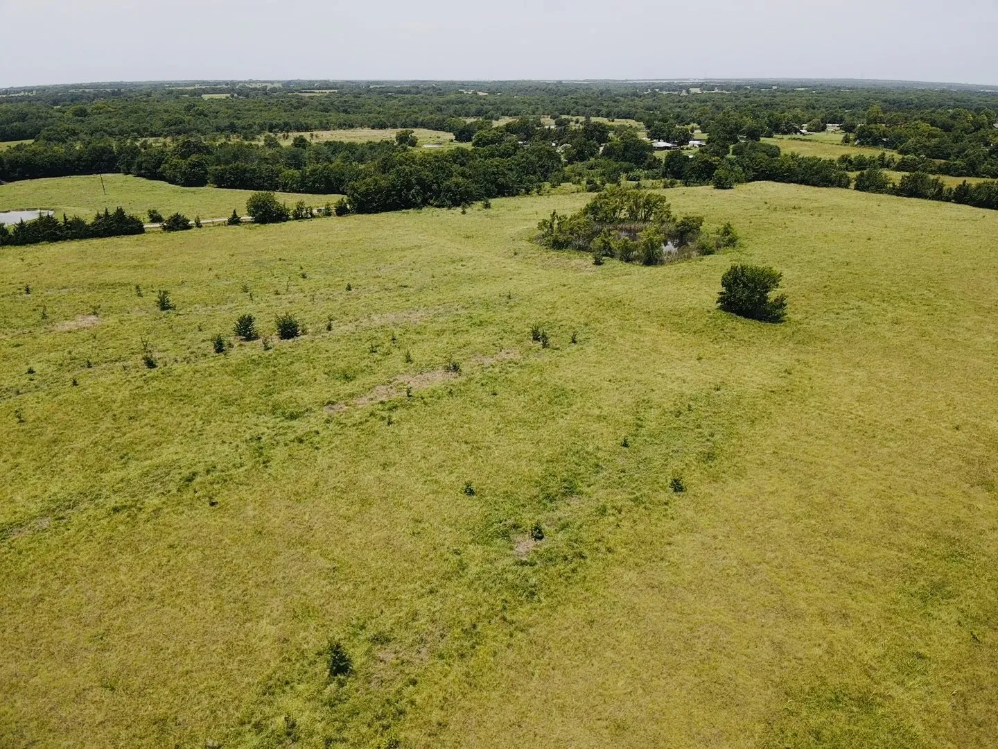 Ranch For Sale in Lamar County , 000 FM 905, Paris, Texas 75462, 0, 0, Garage spaces, 0 Sqft, built in 0, mls#21284132, Real Estate Agent in Paris, Homes For Sale in Lamar county, Homes For Sale in Paris, Realtor in Paris Texas, Real Estate Brokerage Independent Realty Texas, Luminita Cordes Realtor