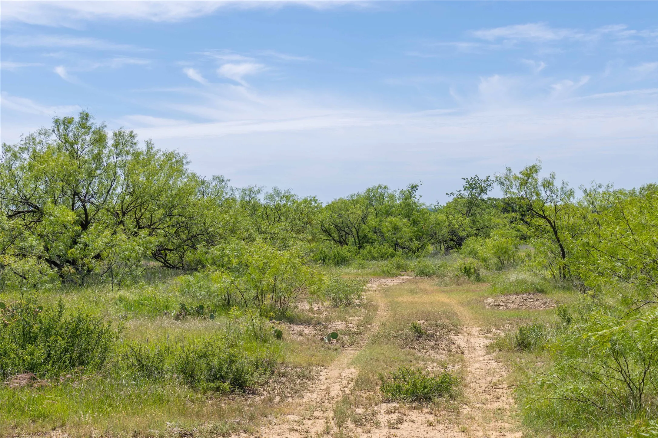 Single Family Residence For Sale in Young County , 7582 Fm 2652, Loving, Texas 76460, 1 Bedroom, 1 Bathroom, Garage spaces, 392 Sqft, built in 2018, Price $1,227,000, mls#21284018, Real Estate Agent in Loving, Homes For Sale in Young county, Homes For Sale in Loving, Realtor in Loving Texas, Real Estate Brokerage Independent Realty Texas, Luminita Cordes Realtor