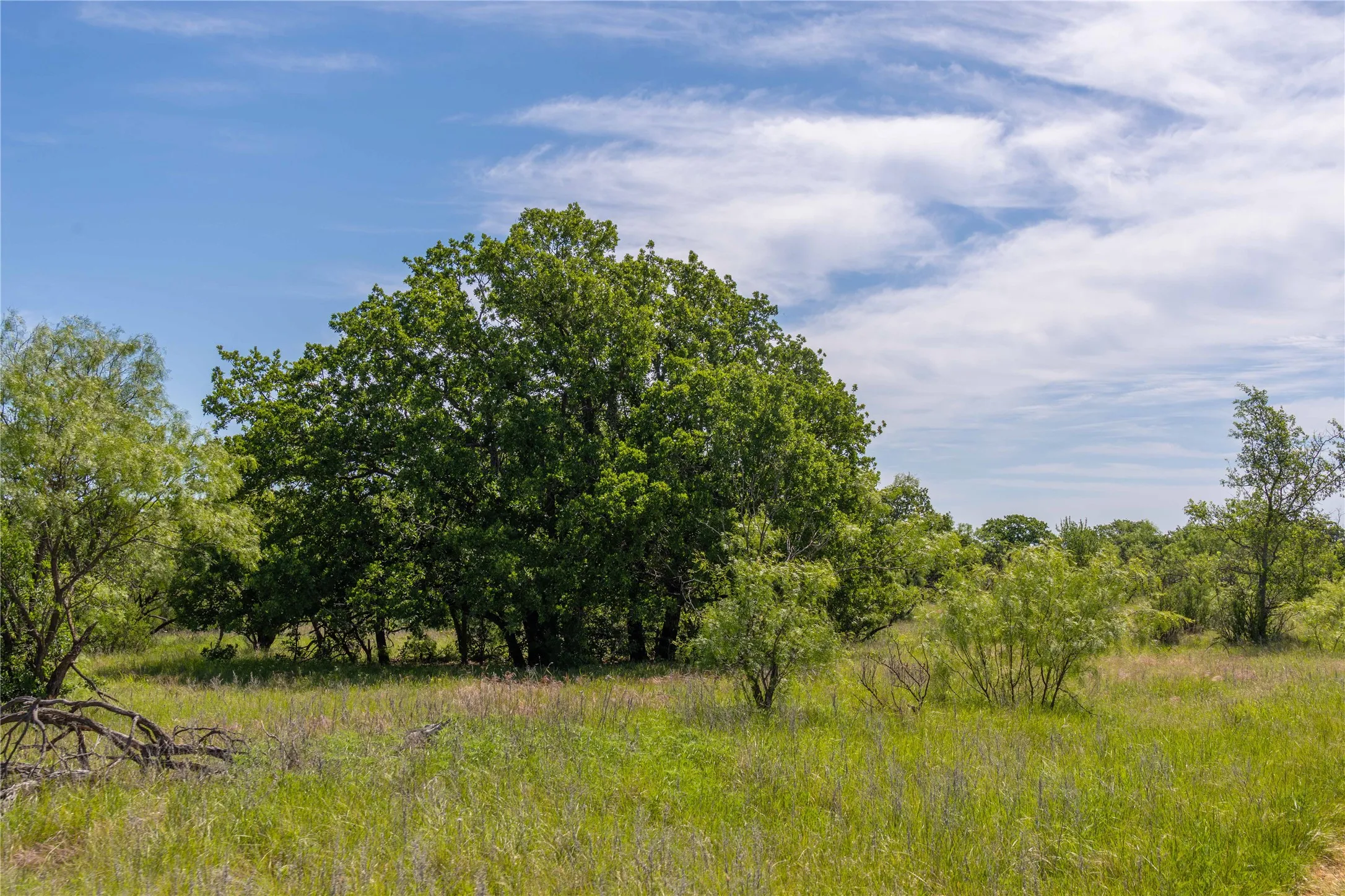 Single Family Residence For Sale in Young County , 7582 Fm 2652, Loving, Texas 76460, 1 Bedroom, 1 Bathroom, Garage spaces, 392 Sqft, built in 2018, Price $1,227,000, mls#21284018, Real Estate Agent in Loving, Homes For Sale in Young county, Homes For Sale in Loving, Realtor in Loving Texas, Real Estate Brokerage Independent Realty Texas, Luminita Cordes Realtor