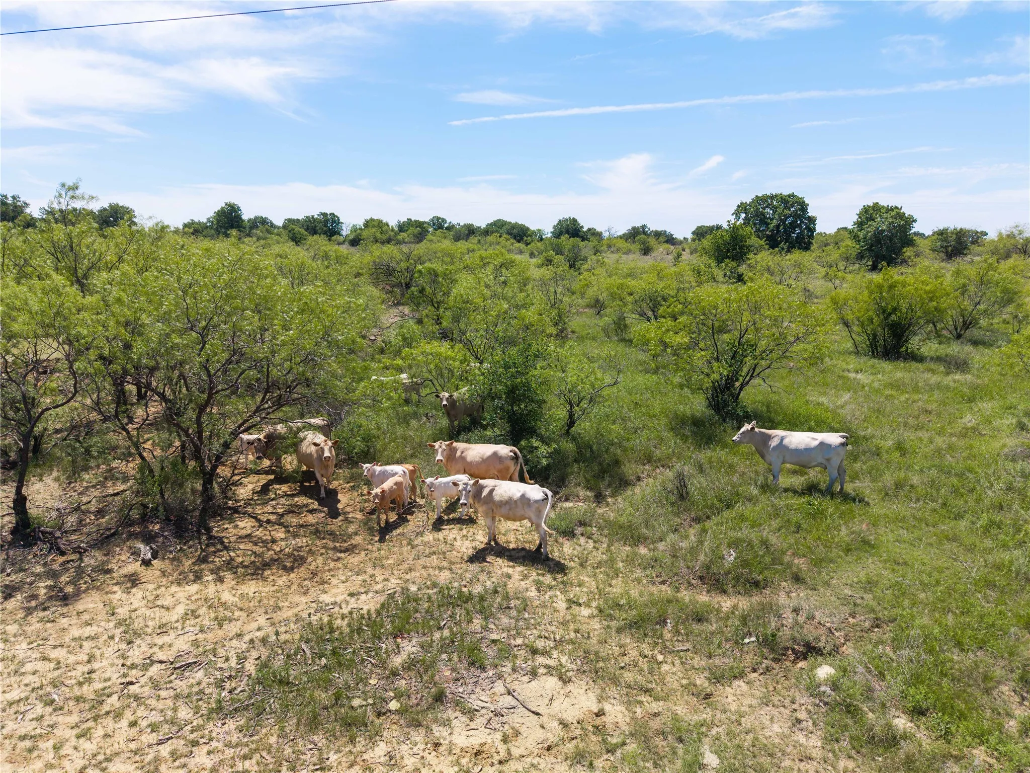 Single Family Residence For Sale in Young County , 7582 Fm 2652, Loving, Texas 76460, 1 Bedroom, 1 Bathroom, Garage spaces, 392 Sqft, built in 2018, Price $1,227,000, mls#21284018, Real Estate Agent in Loving, Homes For Sale in Young county, Homes For Sale in Loving, Realtor in Loving Texas, Real Estate Brokerage Independent Realty Texas, Luminita Cordes Realtor