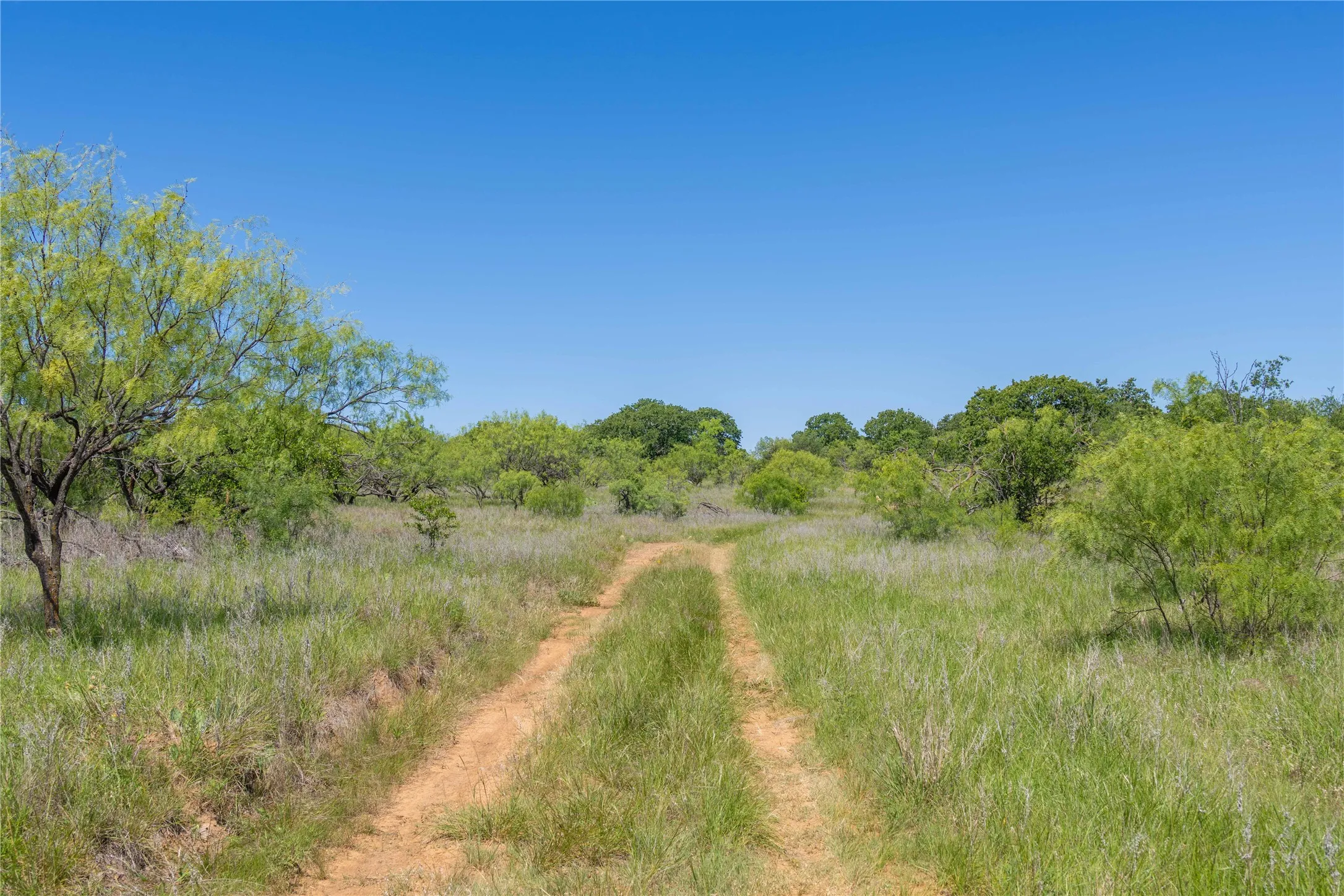 Single Family Residence For Sale in Young County , 7582 Fm 2652, Loving, Texas 76460, 1 Bedroom, 1 Bathroom, Garage spaces, 392 Sqft, built in 2018, Price $1,227,000, mls#21284018, Real Estate Agent in Loving, Homes For Sale in Young county, Homes For Sale in Loving, Realtor in Loving Texas, Real Estate Brokerage Independent Realty Texas, Luminita Cordes Realtor