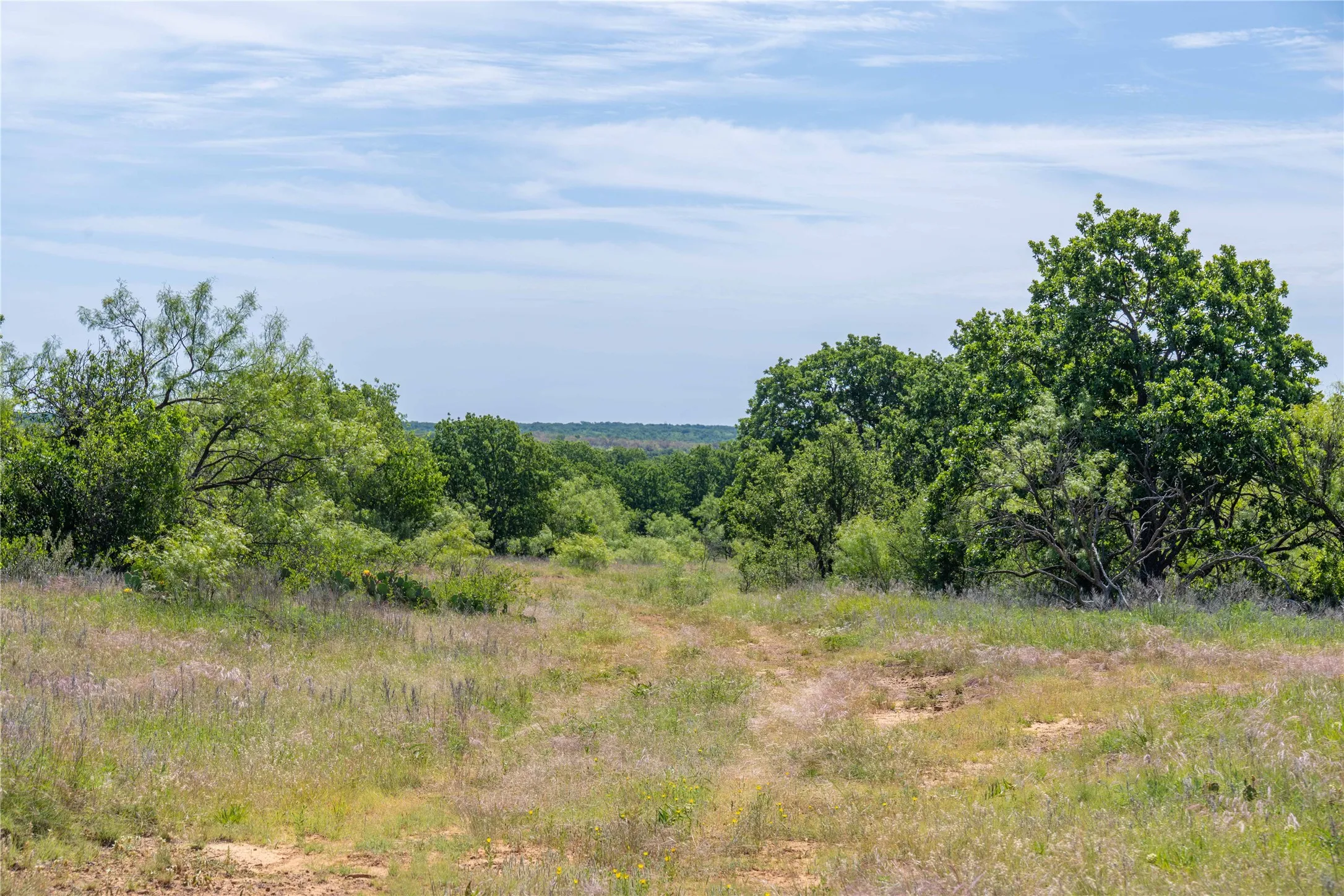 Single Family Residence For Sale in Young County , 7582 Fm 2652, Loving, Texas 76460, 1 Bedroom, 1 Bathroom, Garage spaces, 392 Sqft, built in 2018, Price $1,227,000, mls#21284018, Real Estate Agent in Loving, Homes For Sale in Young county, Homes For Sale in Loving, Realtor in Loving Texas, Real Estate Brokerage Independent Realty Texas, Luminita Cordes Realtor