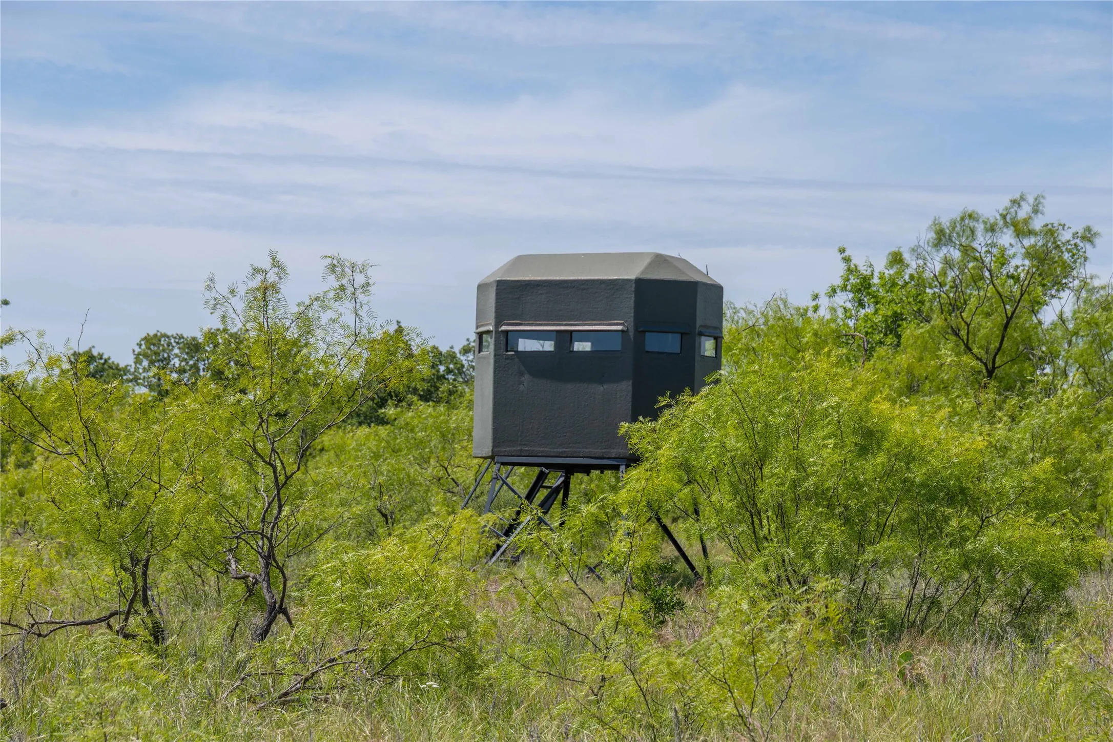 Single Family Residence For Sale in Young County , 7582 Fm 2652, Loving, Texas 76460, 1 Bedroom, 1 Bathroom, Garage spaces, 392 Sqft, built in 2018, Price $1,227,000, mls#21284018, Real Estate Agent in Loving, Homes For Sale in Young county, Homes For Sale in Loving, Realtor in Loving Texas, Real Estate Brokerage Independent Realty Texas, Luminita Cordes Realtor