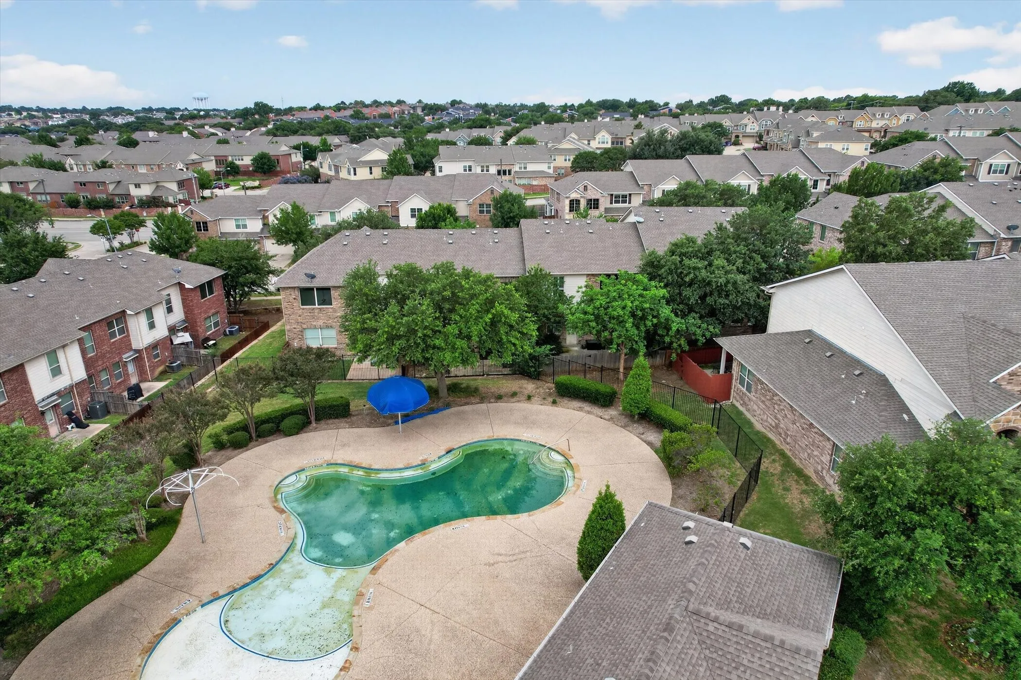 Freeform swimming pool with surrounding concrete decking