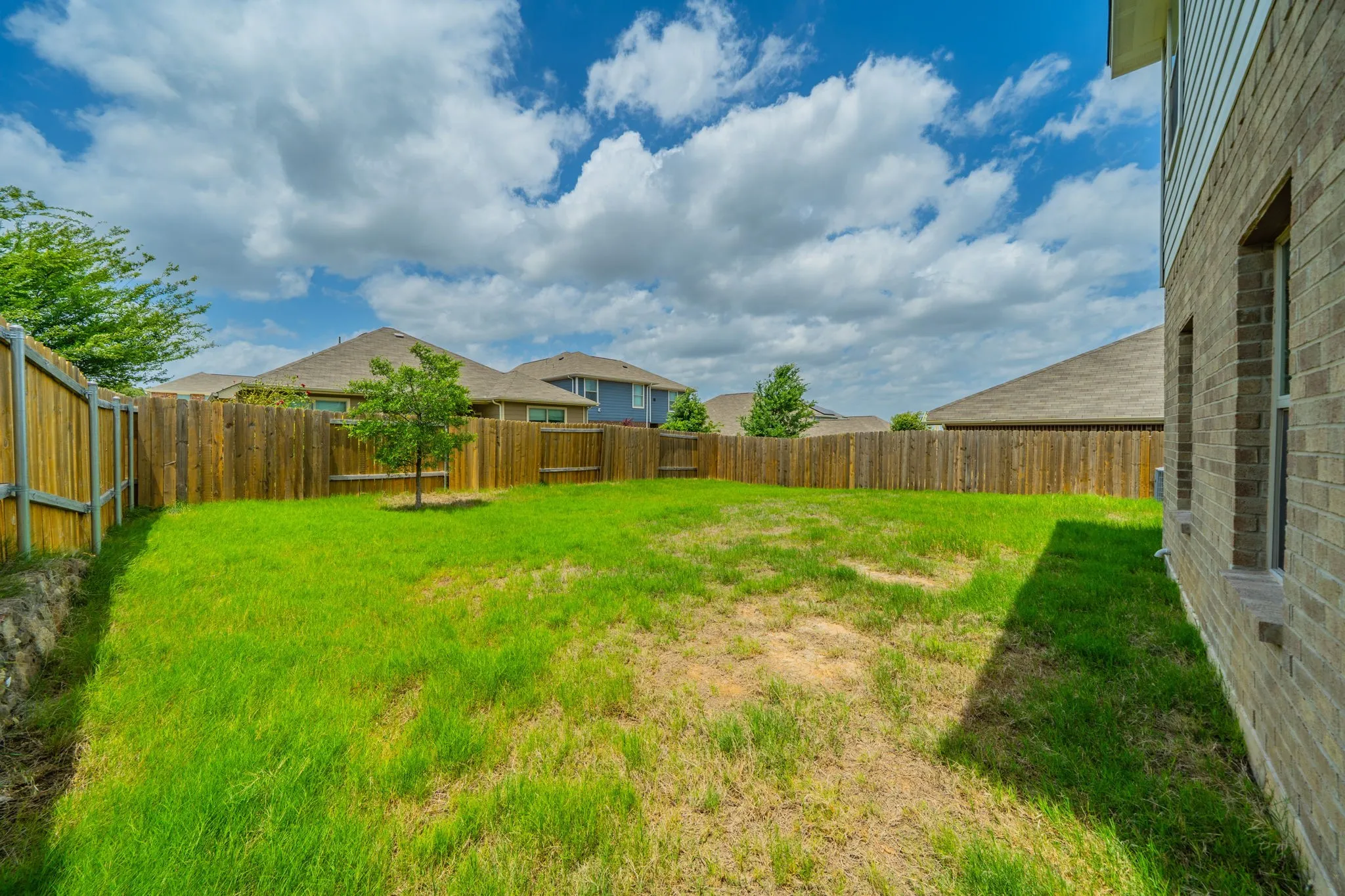 Expansive backyard featuring a full perimeter wood privacy fence, a young planted tree, and brick exterior siding