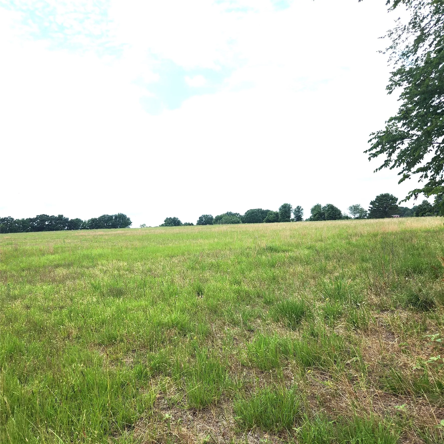 Unimproved Land For Sale in Henderson County , 0 County Road 2813, Eustace, Texas 75124, 0, 0, Garage spaces, 0 Sqft, built in 0, mls#21284328, Real Estate Agent in Eustace, Homes For Sale in Henderson county, Homes For Sale in Eustace, Realtor in Eustace Texas, Real Estate Brokerage Independent Realty Texas, Luminita Cordes Realtor