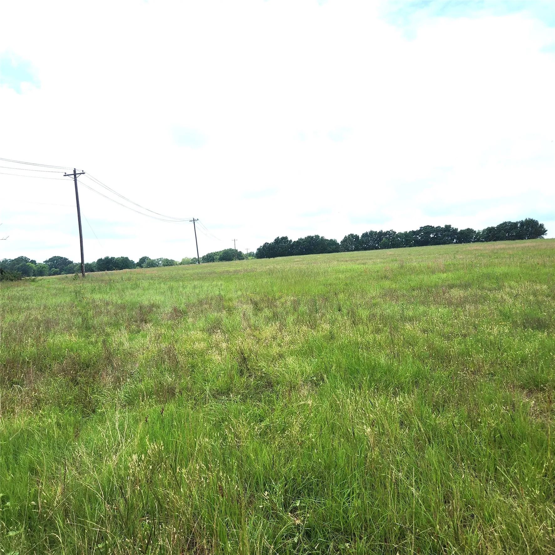 Unimproved Land For Sale in Henderson County , 0 County Road 2813, Eustace, Texas 75124, 0, 0, Garage spaces, 0 Sqft, built in 0, mls#21284328, Real Estate Agent in Eustace, Homes For Sale in Henderson county, Homes For Sale in Eustace, Realtor in Eustace Texas, Real Estate Brokerage Independent Realty Texas, Luminita Cordes Realtor