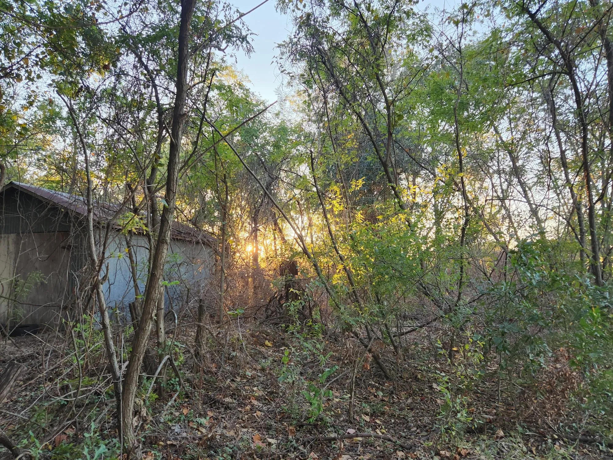 Unimproved Land For Sale in Henderson County , 0 County Road 2813, Eustace, Texas 75124, 0, 0, Garage spaces, 0 Sqft, built in 0, mls#21284328, Real Estate Agent in Eustace, Homes For Sale in Henderson county, Homes For Sale in Eustace, Realtor in Eustace Texas, Real Estate Brokerage Independent Realty Texas, Luminita Cordes Realtor