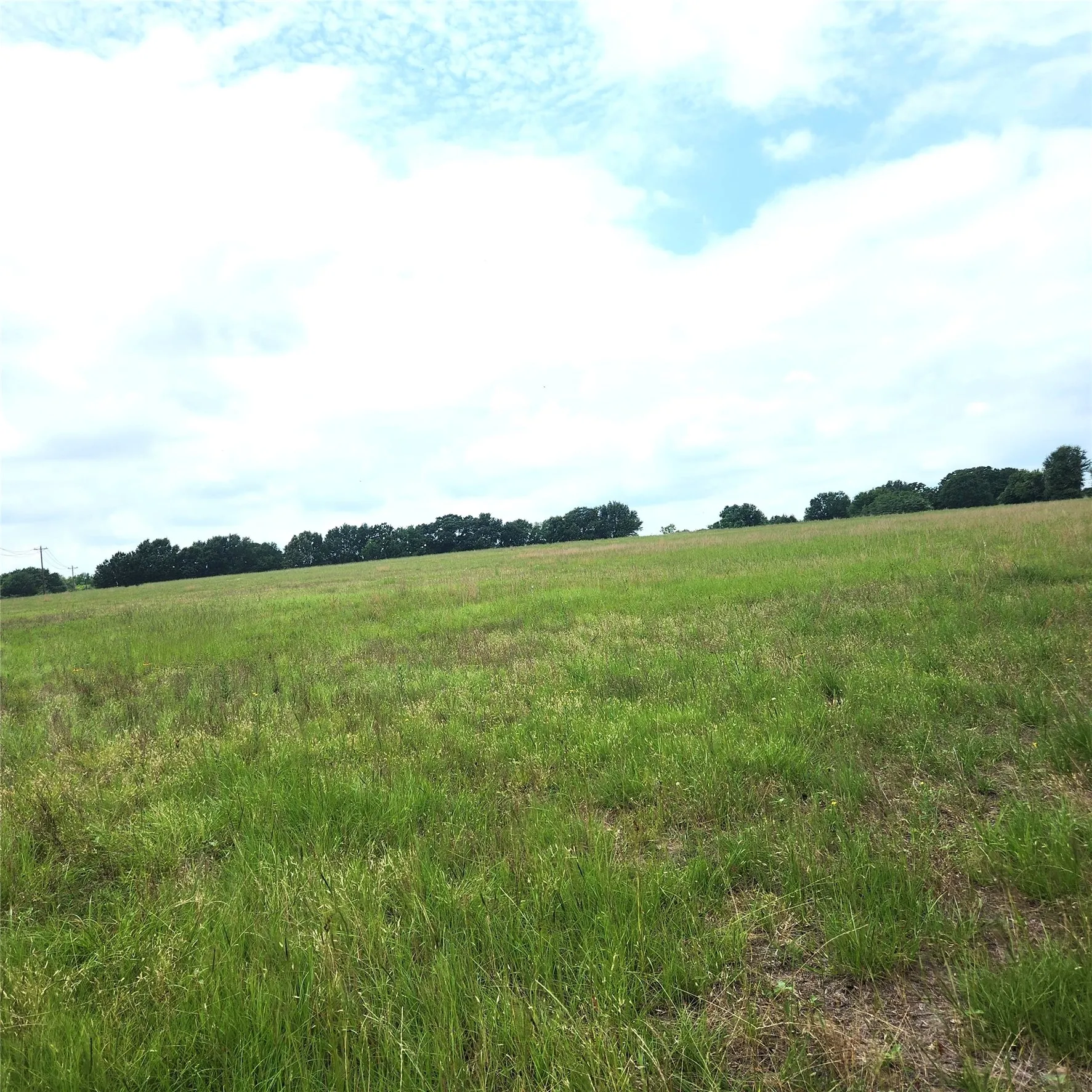 Unimproved Land For Sale in Henderson County , 0 County Road 2813, Eustace, Texas 75124, 0, 0, Garage spaces, 0 Sqft, built in 0, mls#21284328, Real Estate Agent in Eustace, Homes For Sale in Henderson county, Homes For Sale in Eustace, Realtor in Eustace Texas, Real Estate Brokerage Independent Realty Texas, Luminita Cordes Realtor
