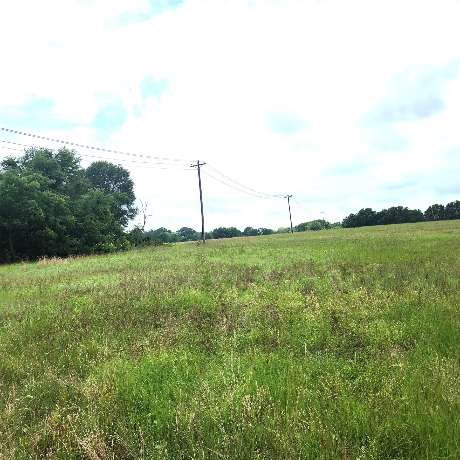 Unimproved Land For Sale in Henderson County , 0 County Road 2813, Eustace, Texas 75124, 0, 0, Garage spaces, 0 Sqft, built in 0, mls#21284328, Real Estate Agent in Eustace, Homes For Sale in Henderson county, Homes For Sale in Eustace, Realtor in Eustace Texas, Real Estate Brokerage Independent Realty Texas, Luminita Cordes Realtor