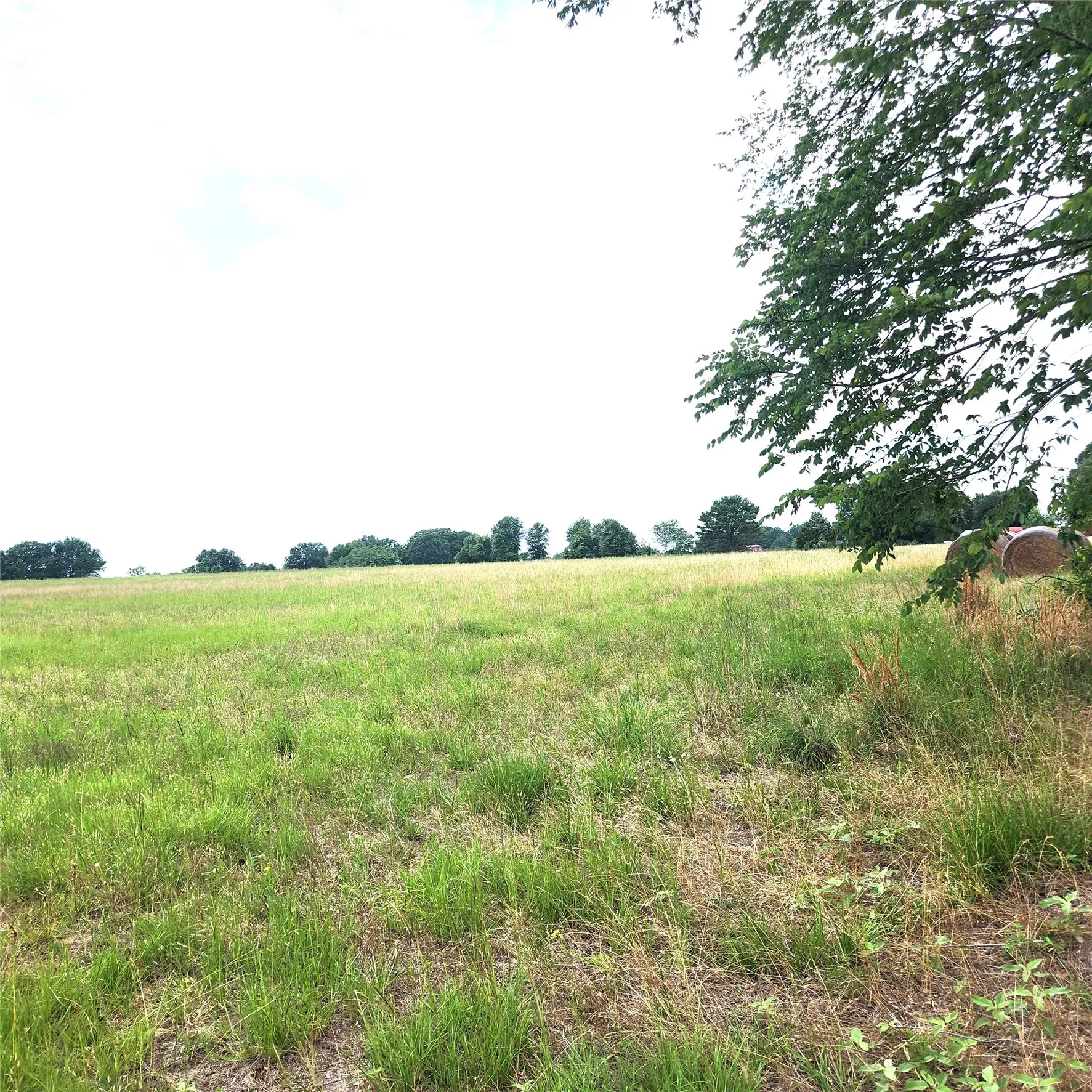 Unimproved Land For Sale in Henderson County , 0 County Road 2813, Eustace, Texas 75124, 0, 0, Garage spaces, 0 Sqft, built in 0, mls#21284328, Real Estate Agent in Eustace, Homes For Sale in Henderson county, Homes For Sale in Eustace, Realtor in Eustace Texas, Real Estate Brokerage Independent Realty Texas, Luminita Cordes Realtor