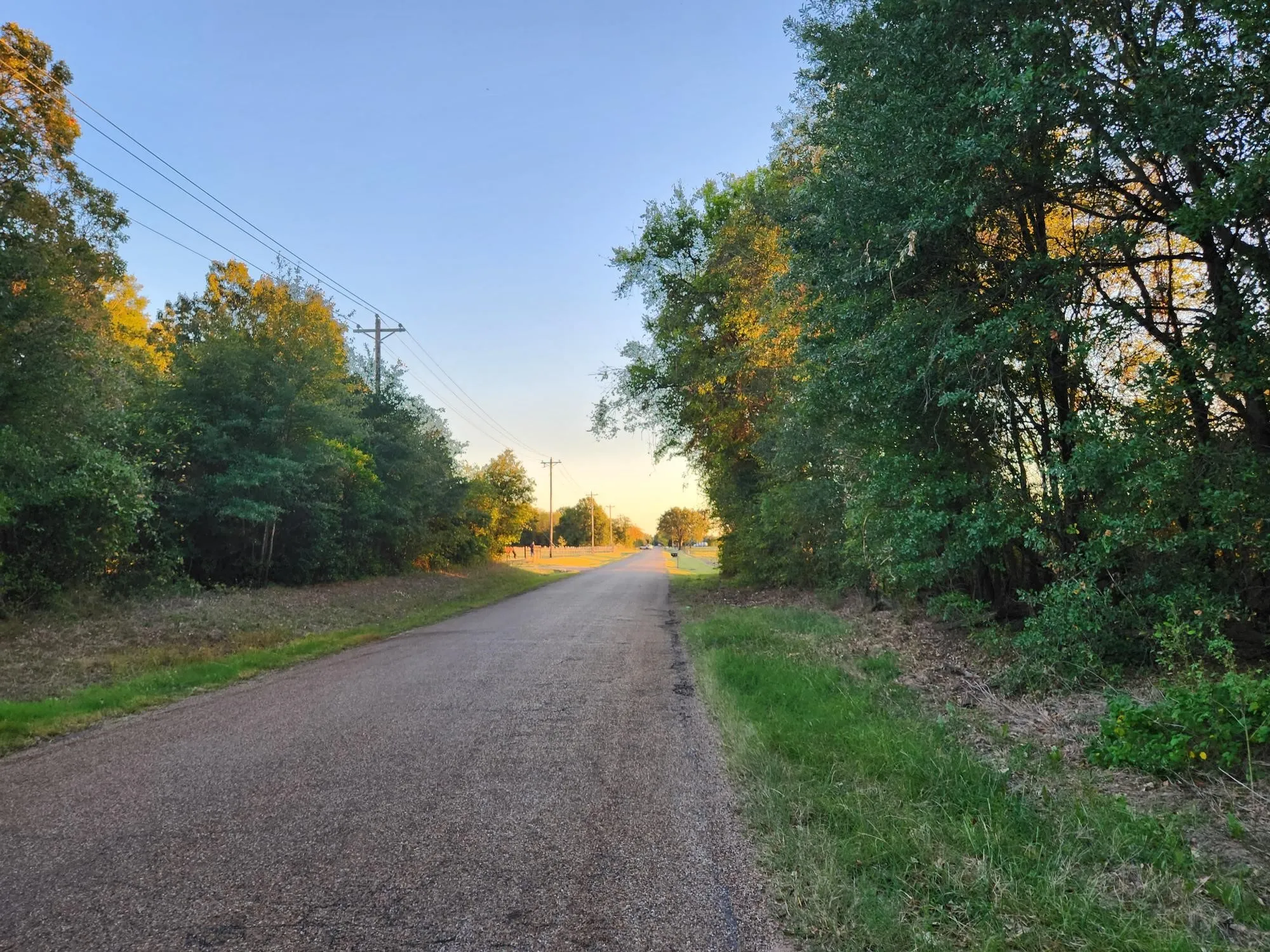 Unimproved Land For Sale in Henderson County , 0 County Road 2813, Eustace, Texas 75124, 0, 0, Garage spaces, 0 Sqft, built in 0, mls#21284328, Real Estate Agent in Eustace, Homes For Sale in Henderson county, Homes For Sale in Eustace, Realtor in Eustace Texas, Real Estate Brokerage Independent Realty Texas, Luminita Cordes Realtor