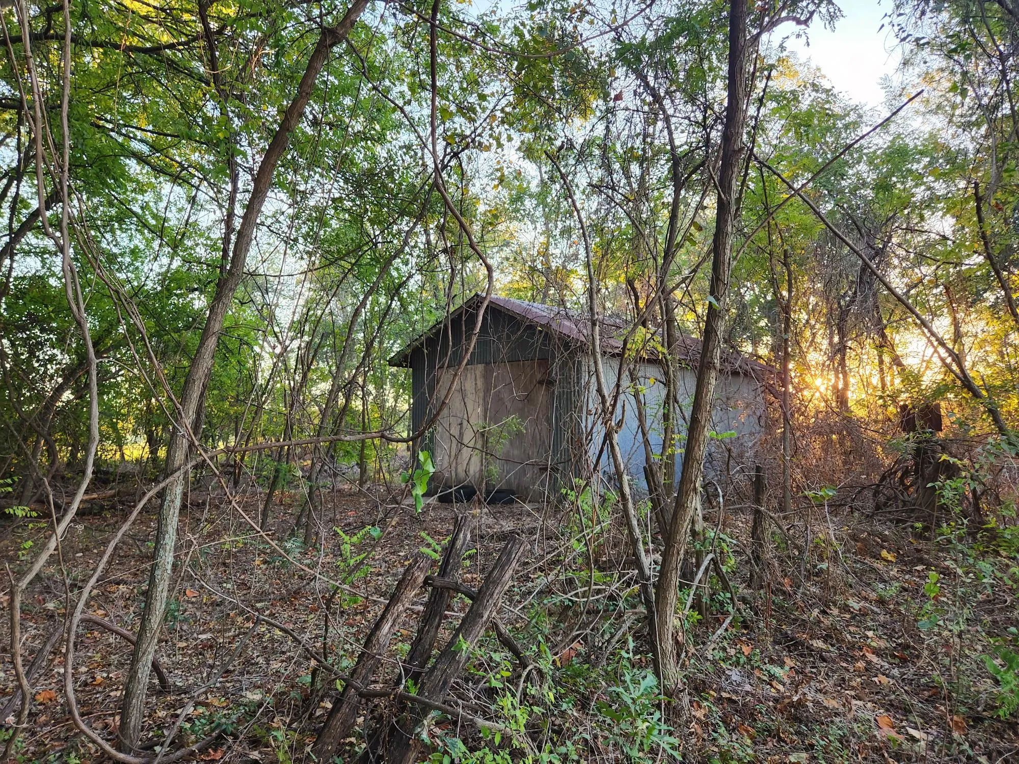 Unimproved Land For Sale in Henderson County , 0 County Road 2813, Eustace, Texas 75124, 0, 0, Garage spaces, 0 Sqft, built in 0, mls#21284328, Real Estate Agent in Eustace, Homes For Sale in Henderson county, Homes For Sale in Eustace, Realtor in Eustace Texas, Real Estate Brokerage Independent Realty Texas, Luminita Cordes Realtor