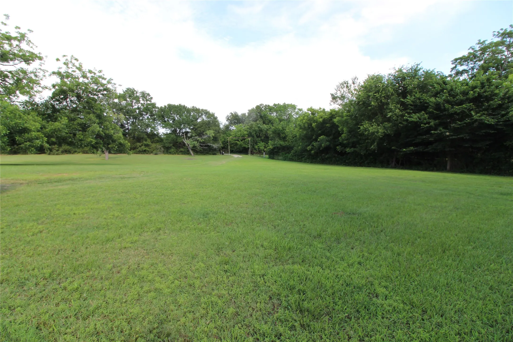 Expansive grassy area bordered by mature trees