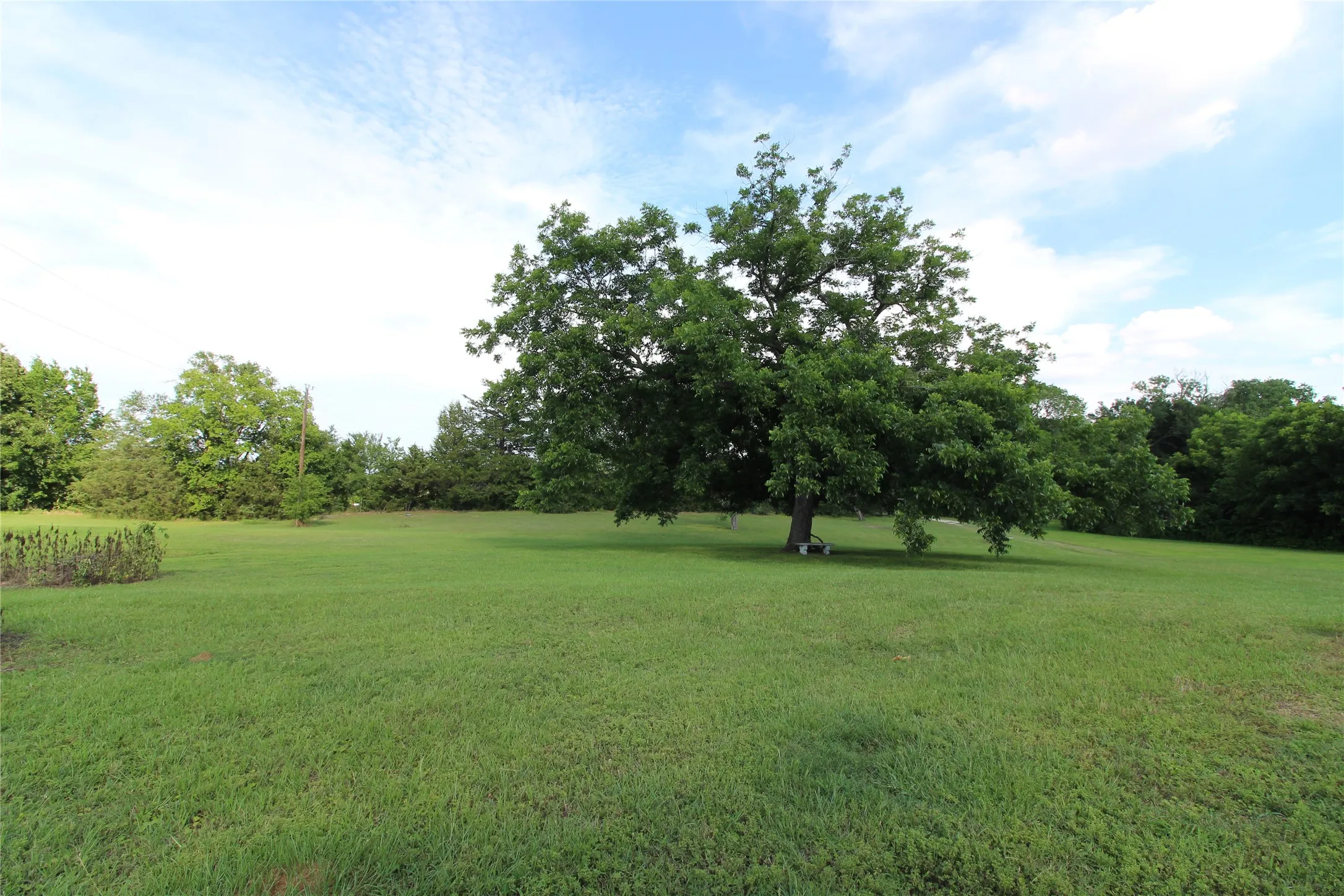 Expansive green lawn with mature trees and open sky